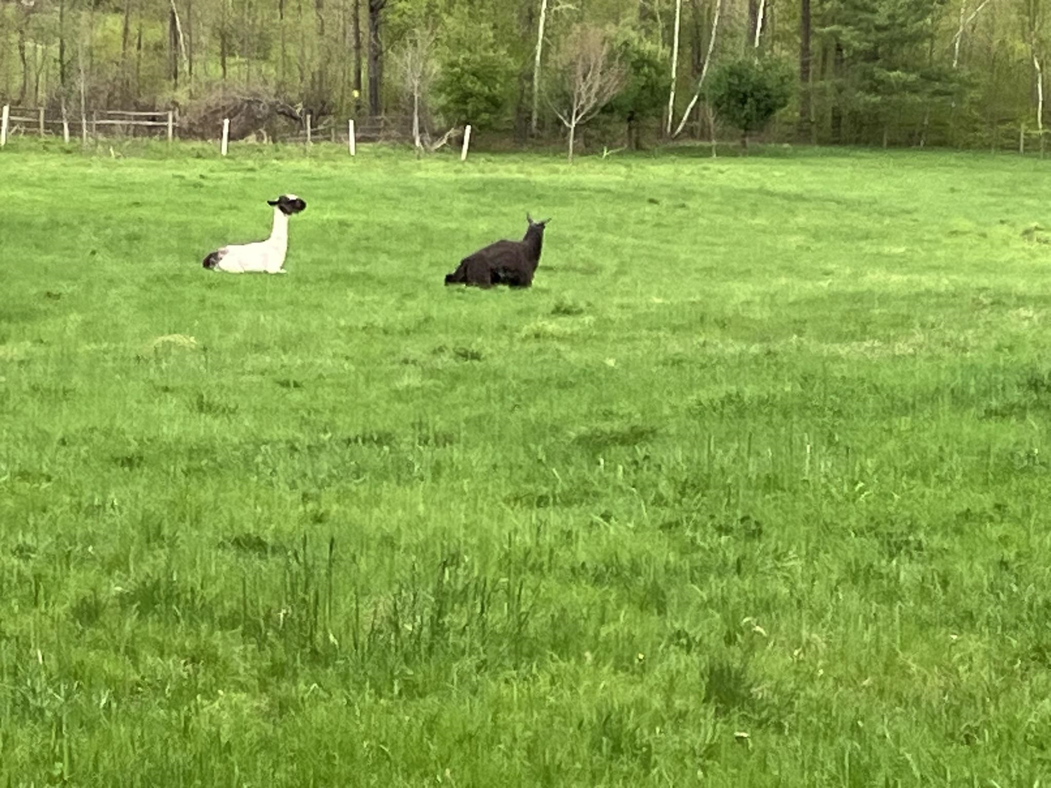 1502 Popple Dungeon Road