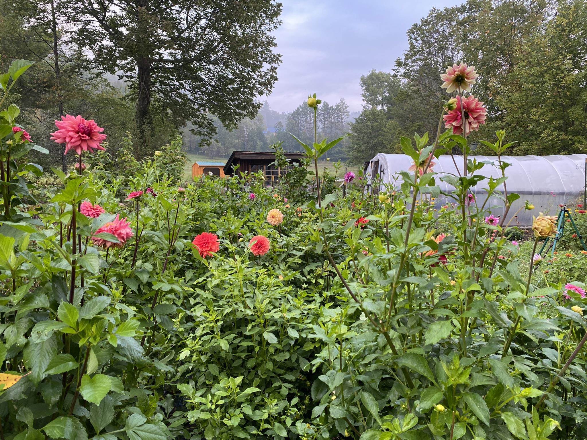 1502 Popple Dungeon Road