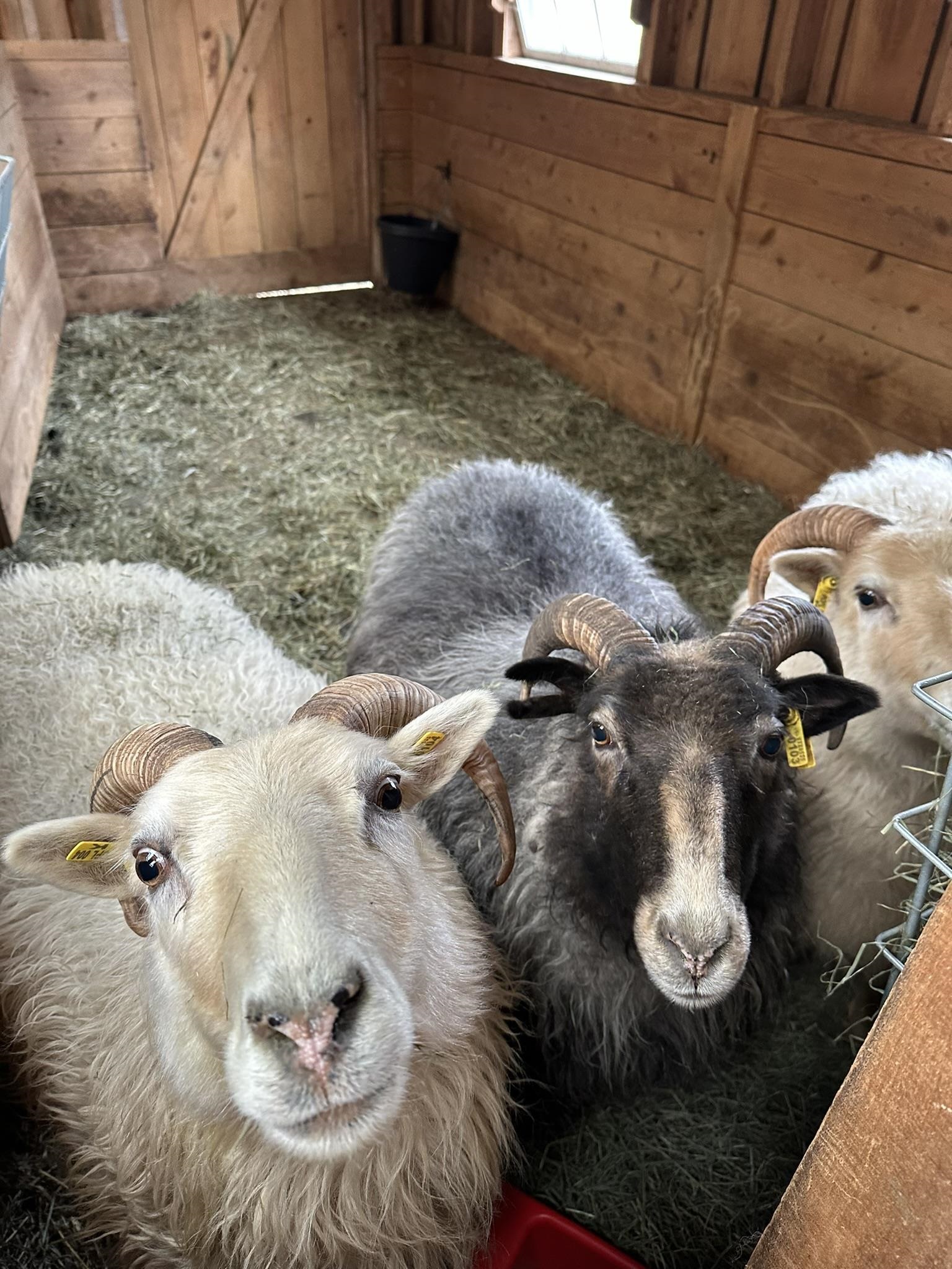 1502 Popple Dungeon Road