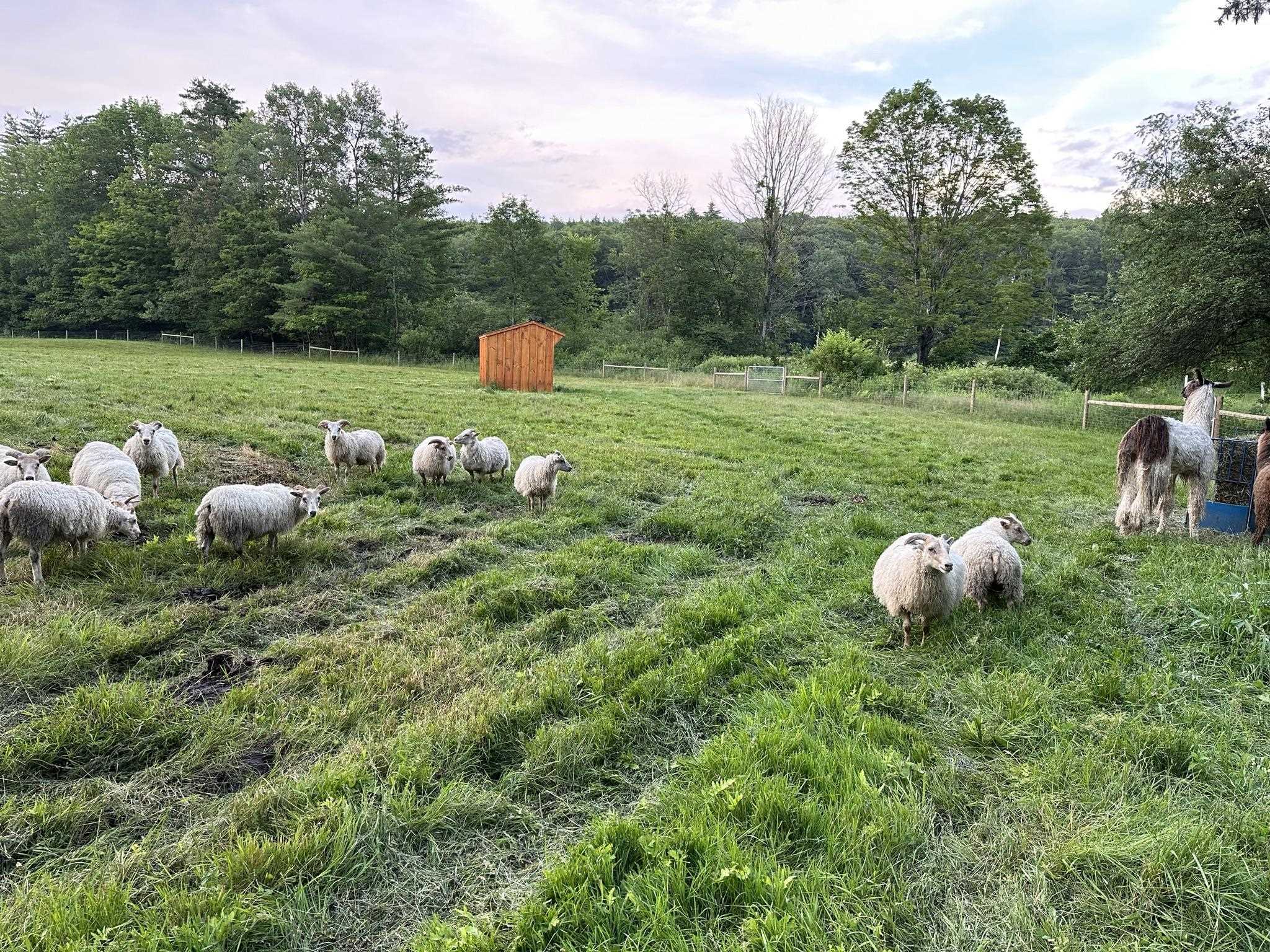 1502 Popple Dungeon Road