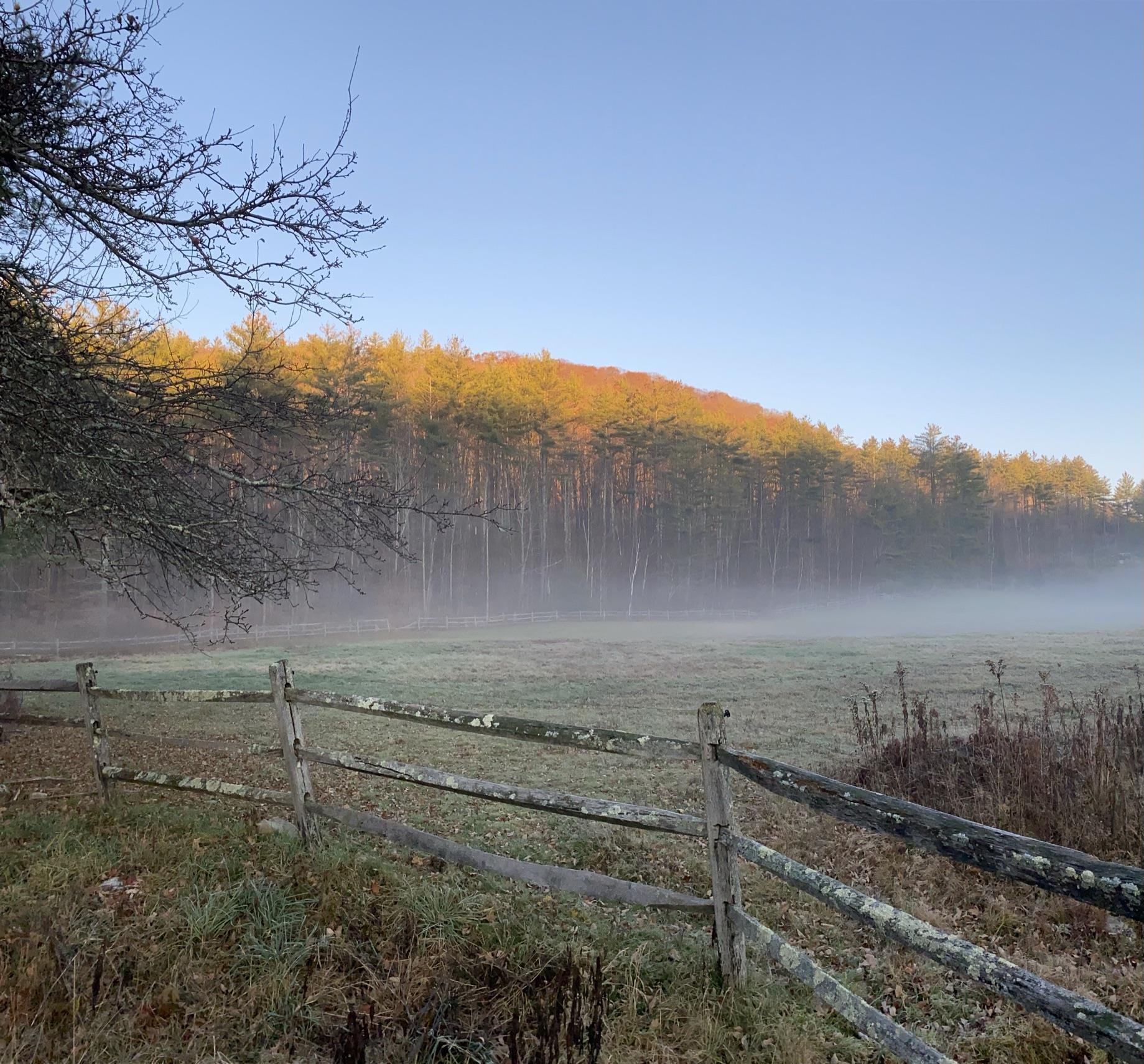 1502 Popple Dungeon Road