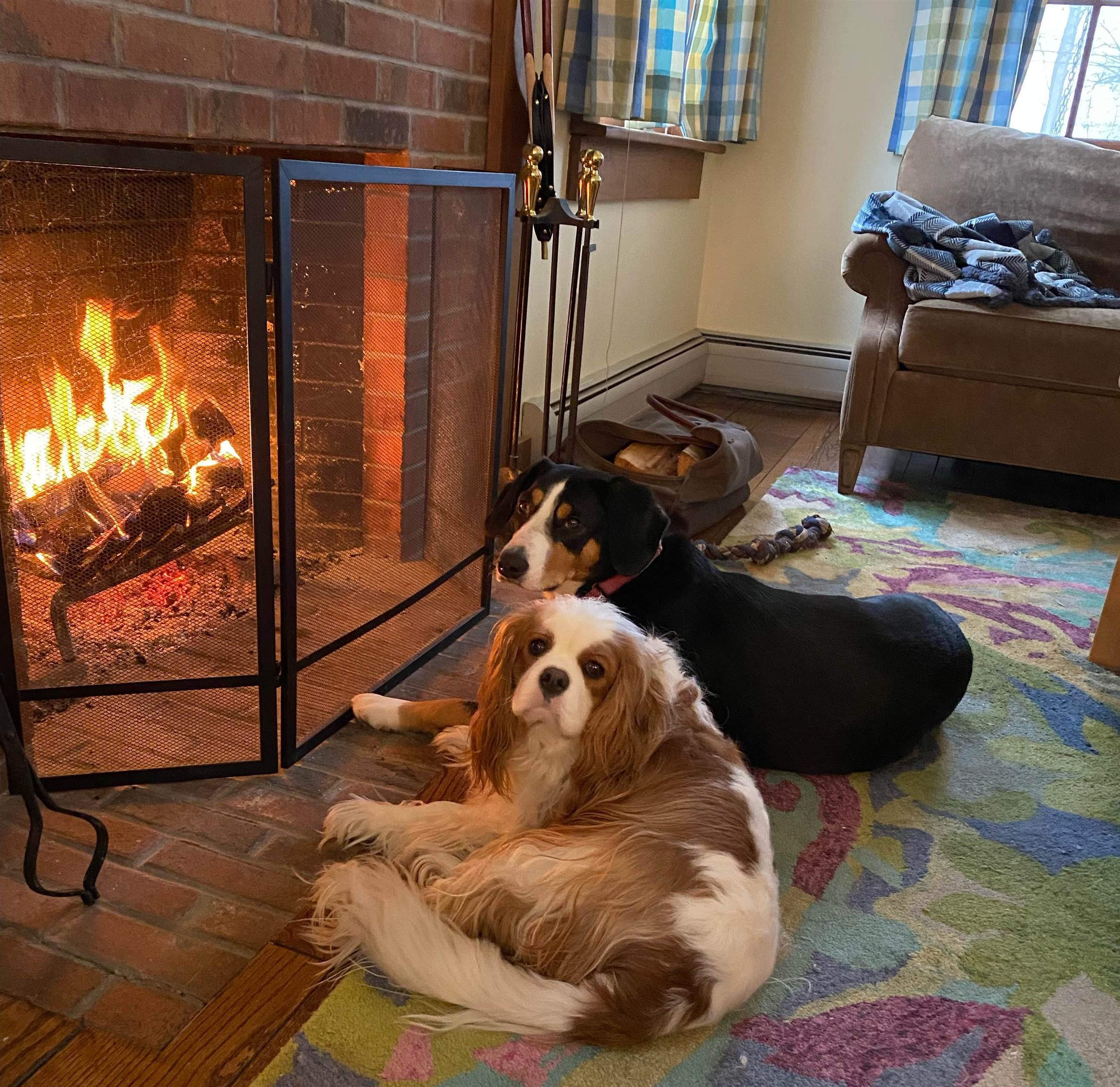 1502 Popple Dungeon Road