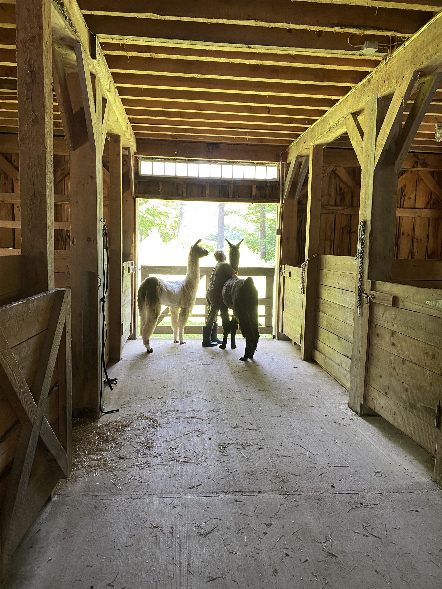 1502 Popple Dungeon Road