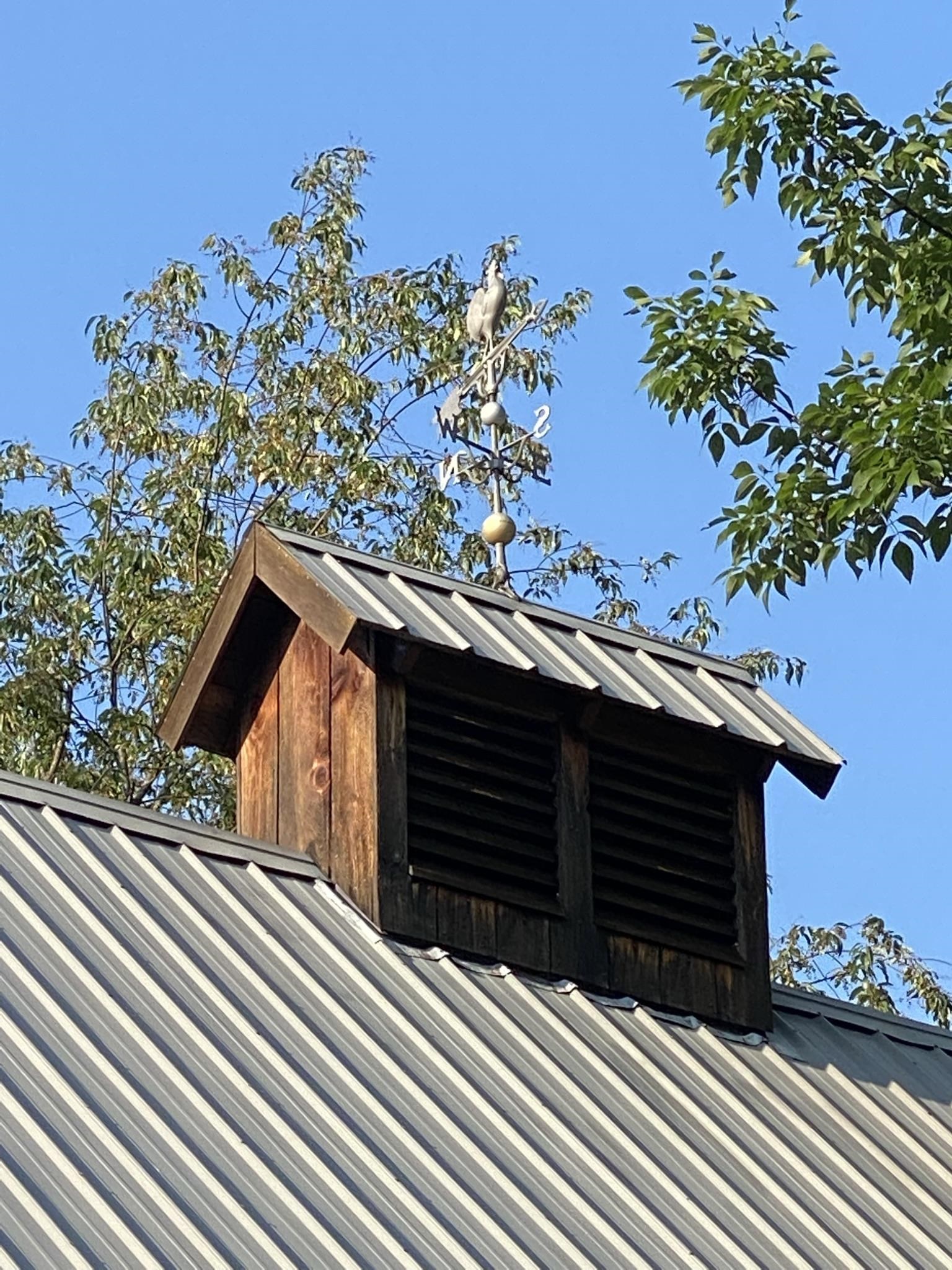 1502 Popple Dungeon Road