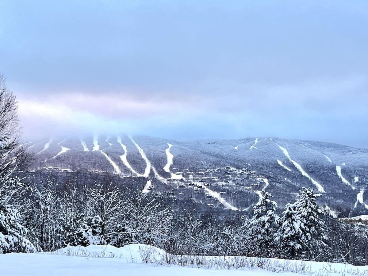 36 Lower IV Unit: 48A