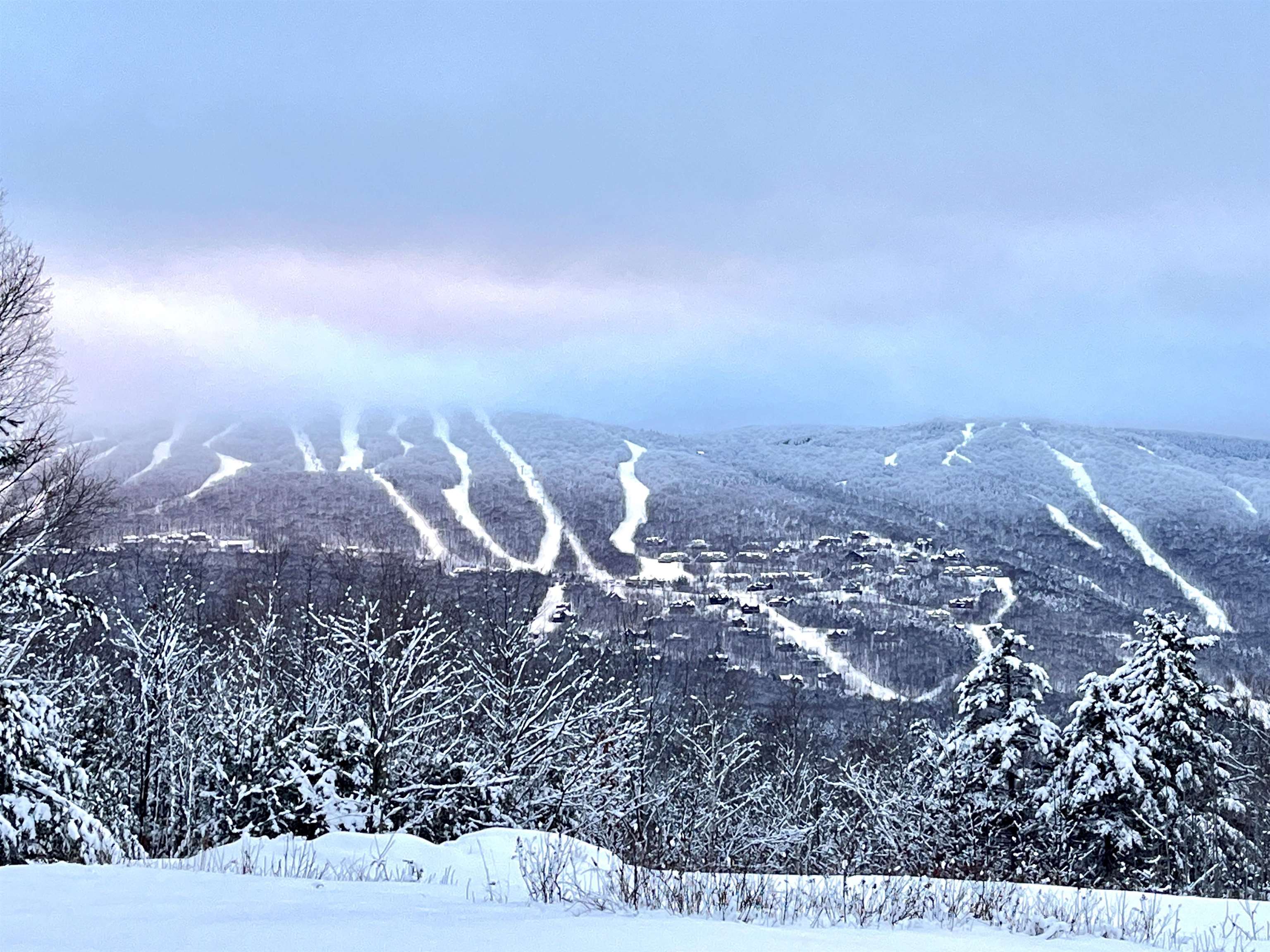 51 Alpine Way Unit: A4