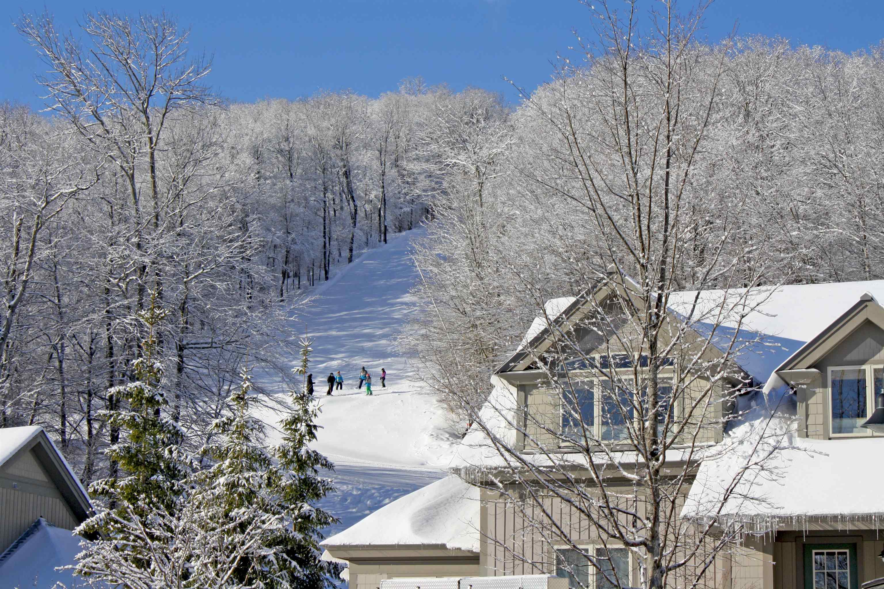 51 Alpine Way Unit: A4
