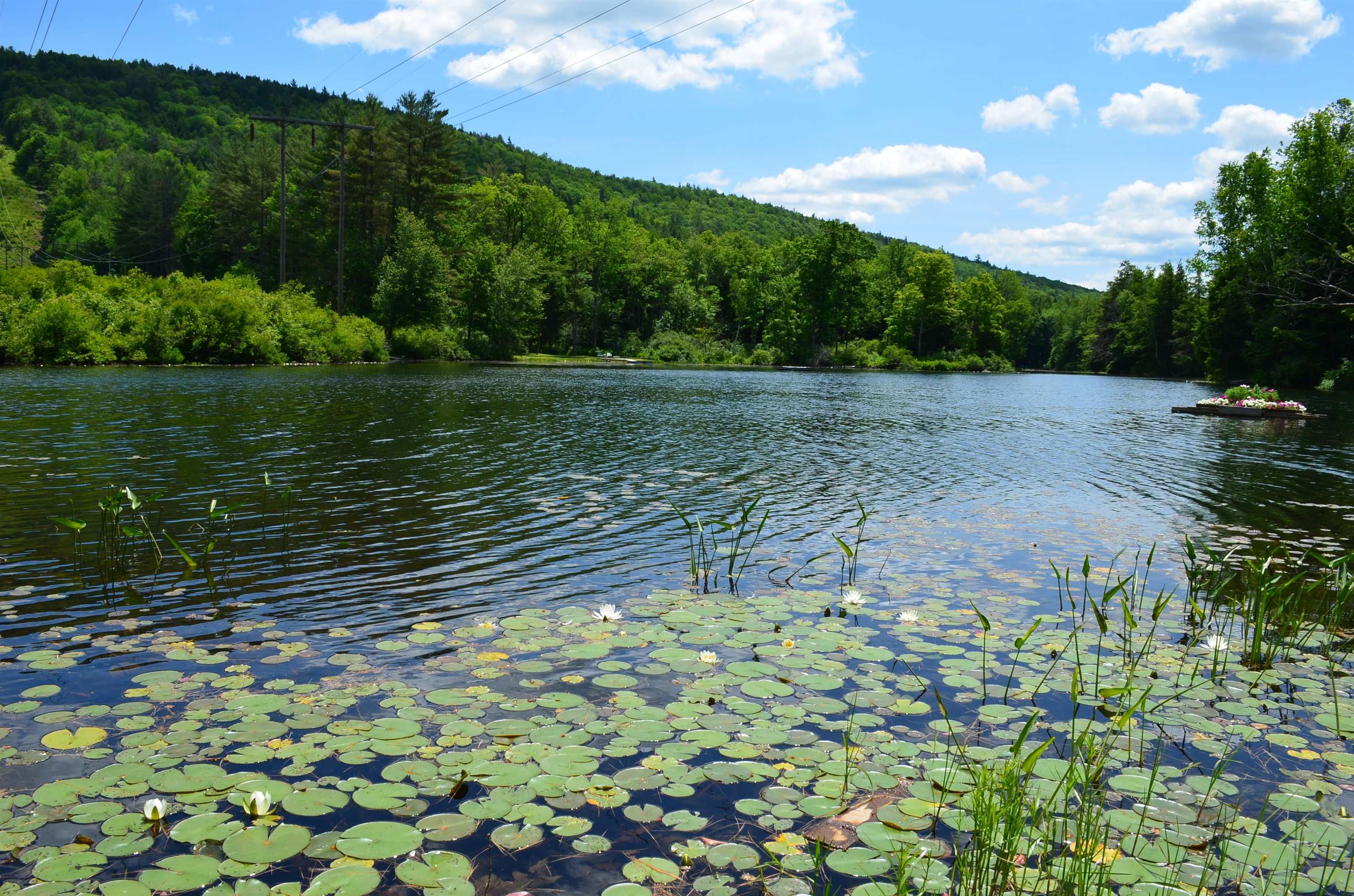 42 Harrison Lane Unit: M 205