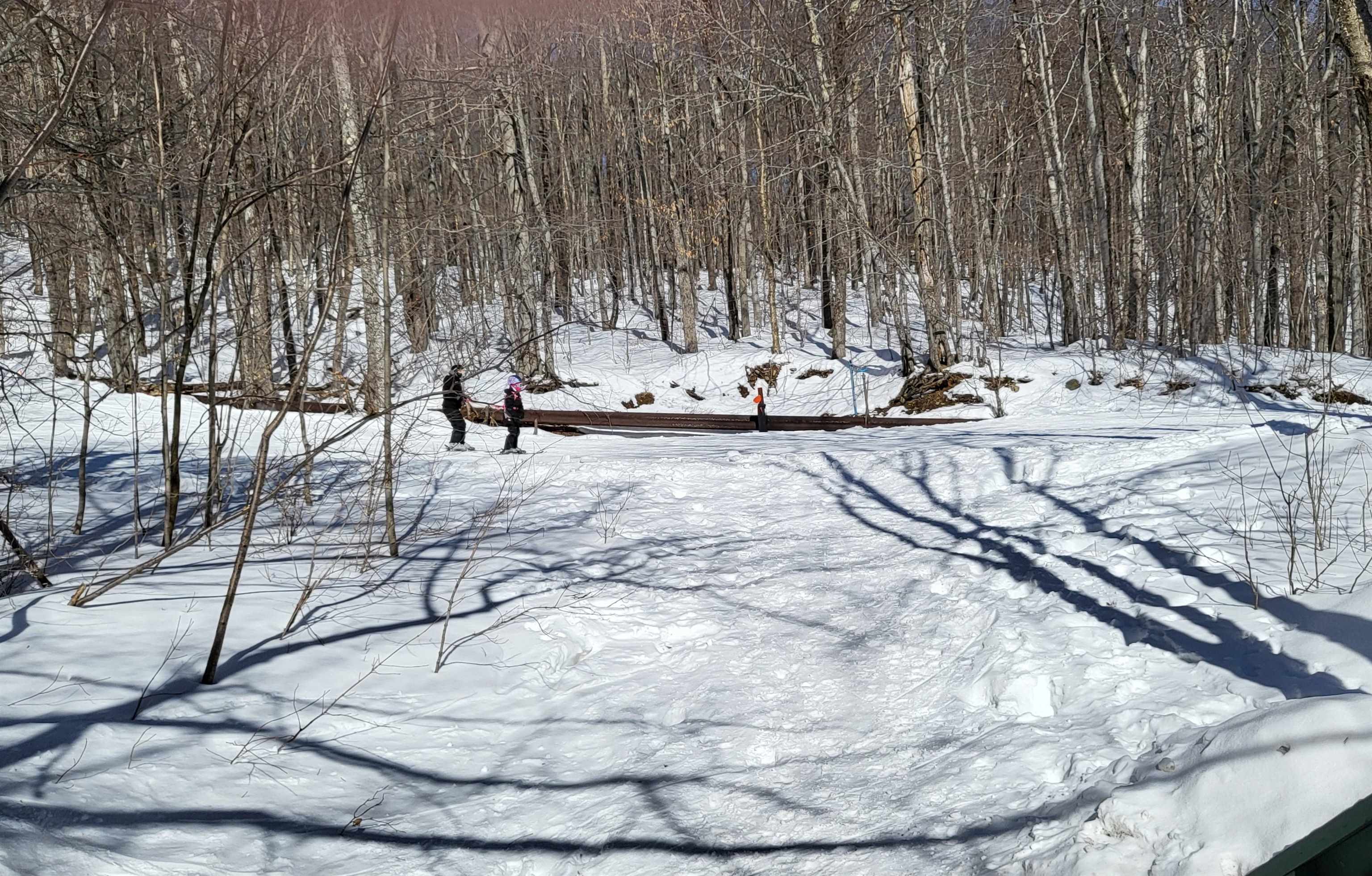 85 Rimrock Road Unit: 13A