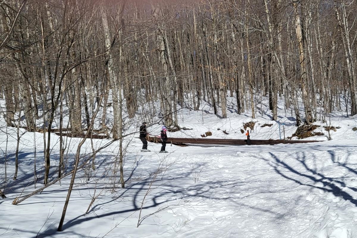 85 Rimrock Road Unit: 13A