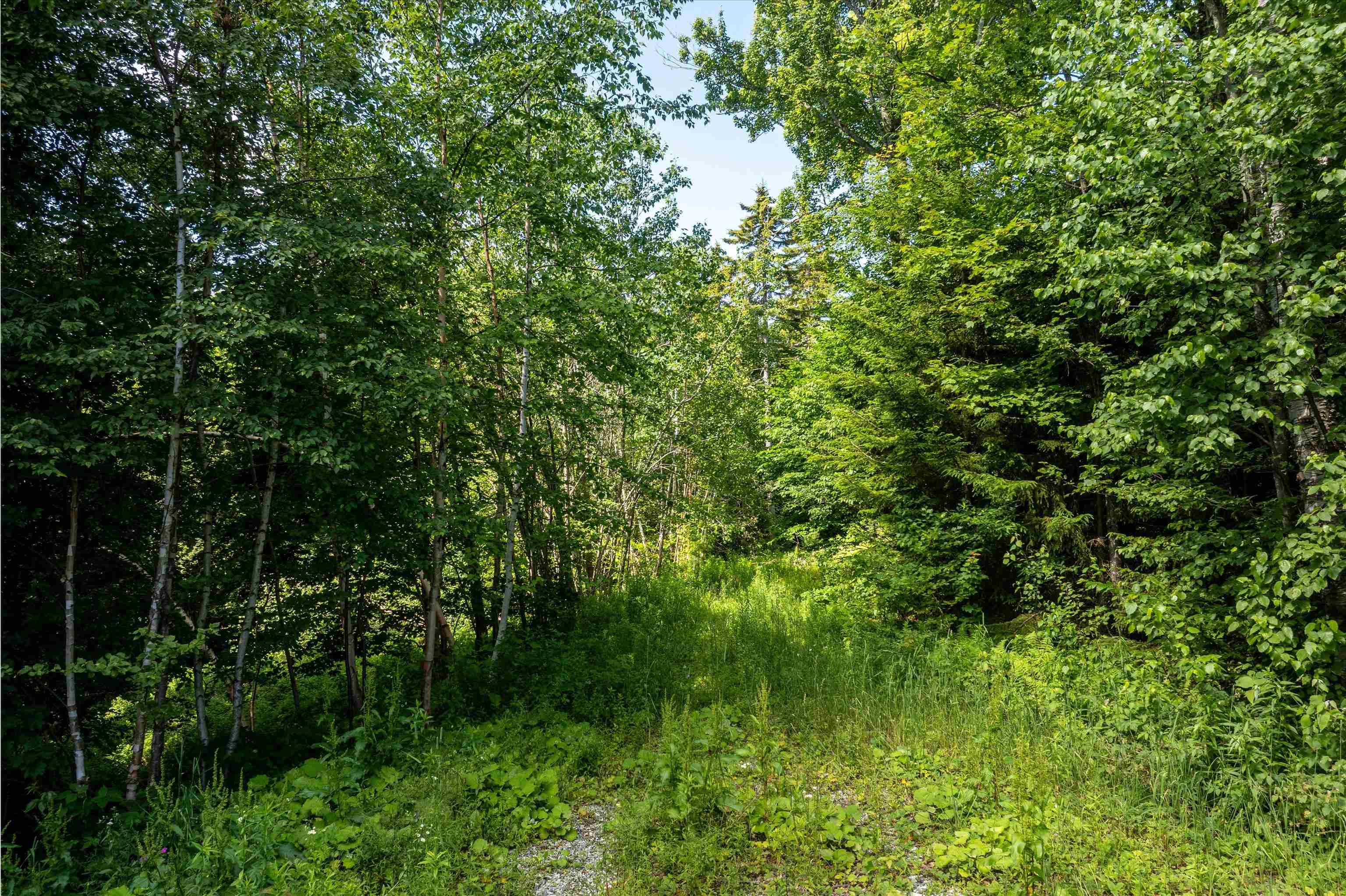 00 Turtle Hill Road