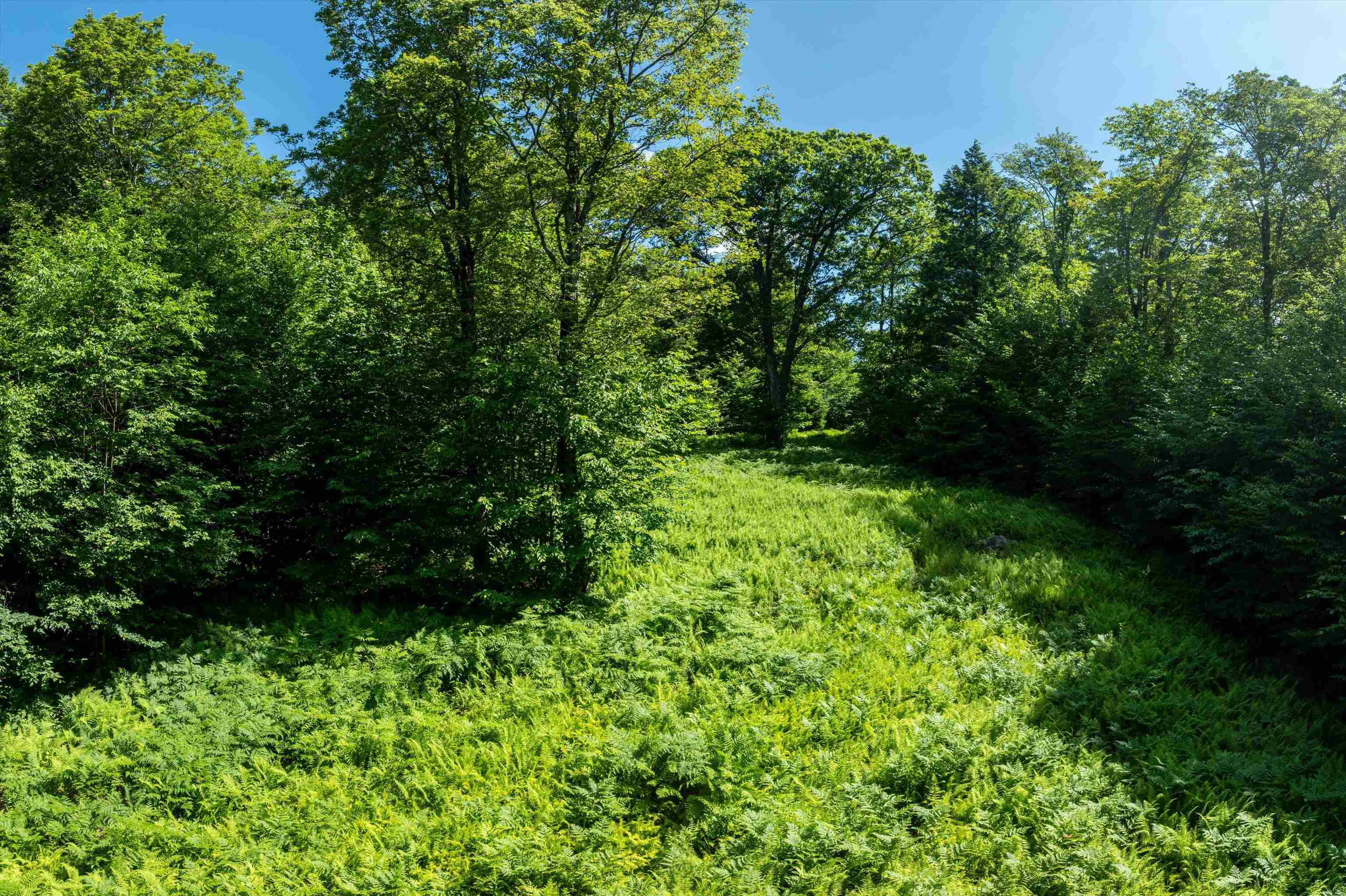 00 Turtle Hill Road