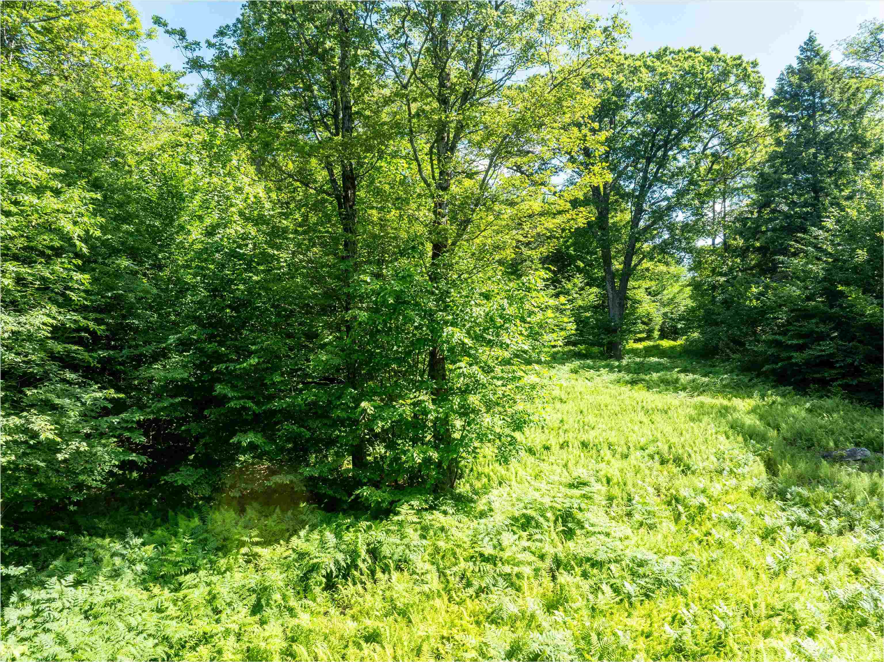 00 Turtle Hill Road