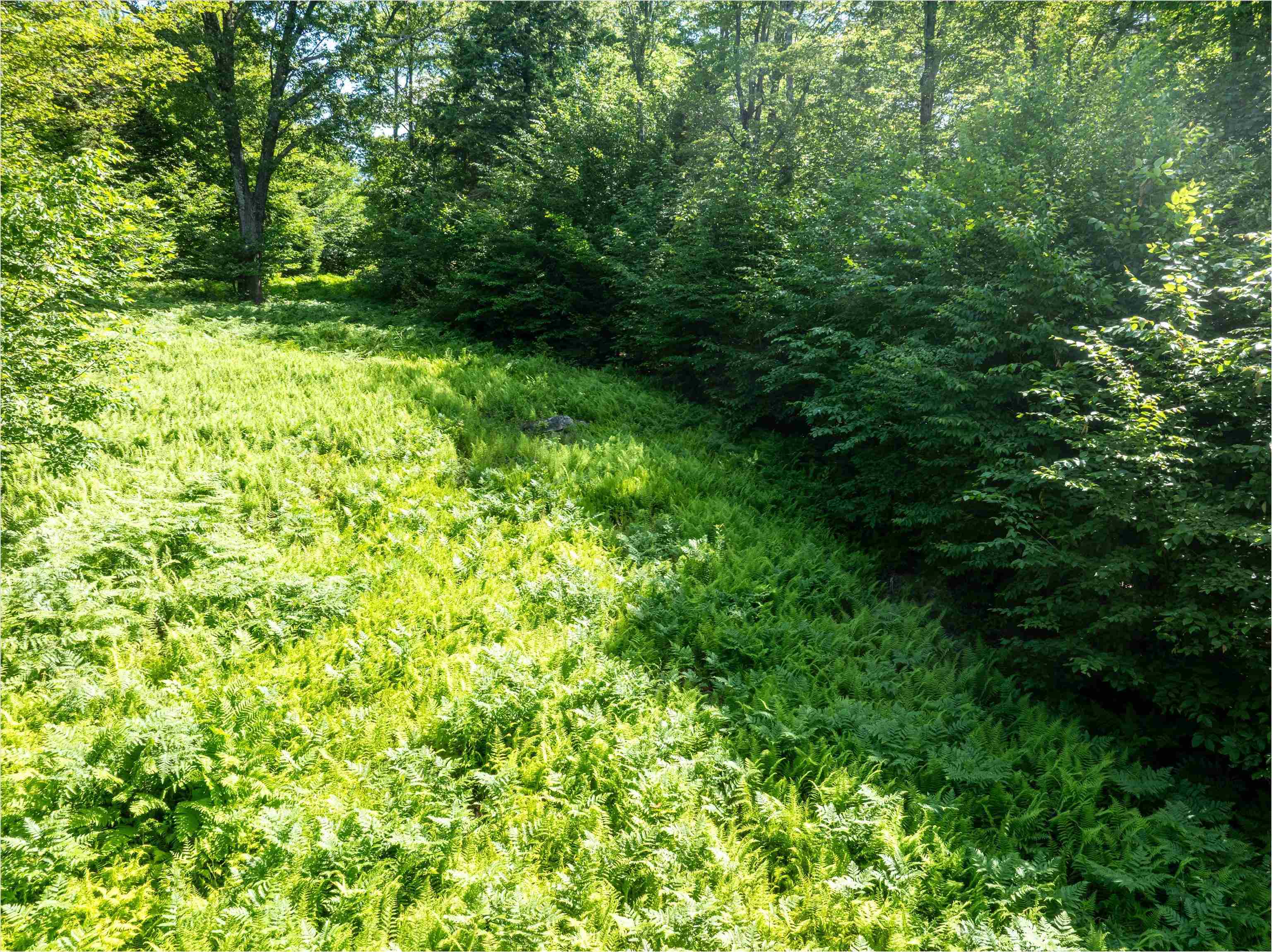 00 Turtle Hill Road