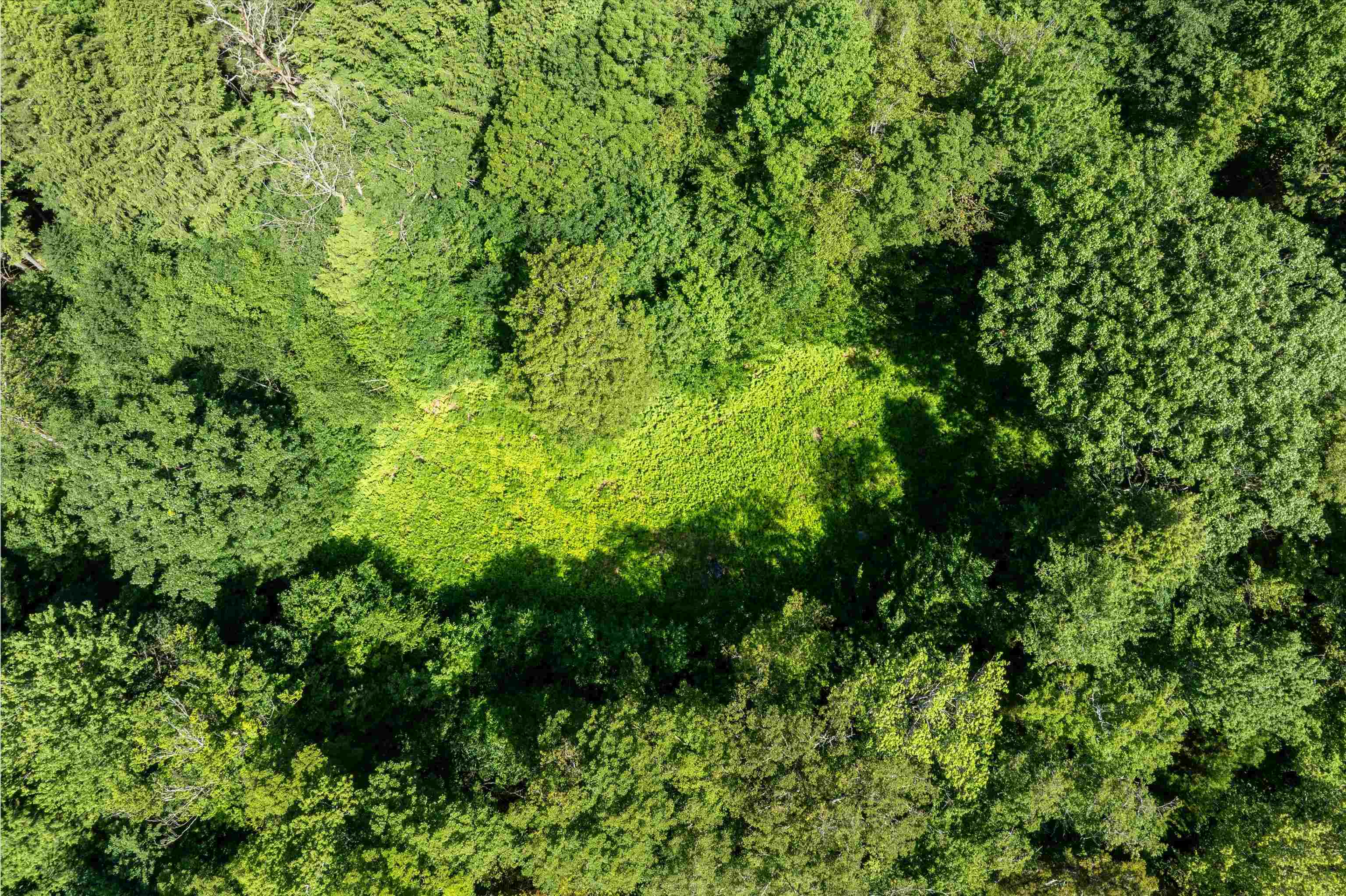 00 Turtle Hill Road