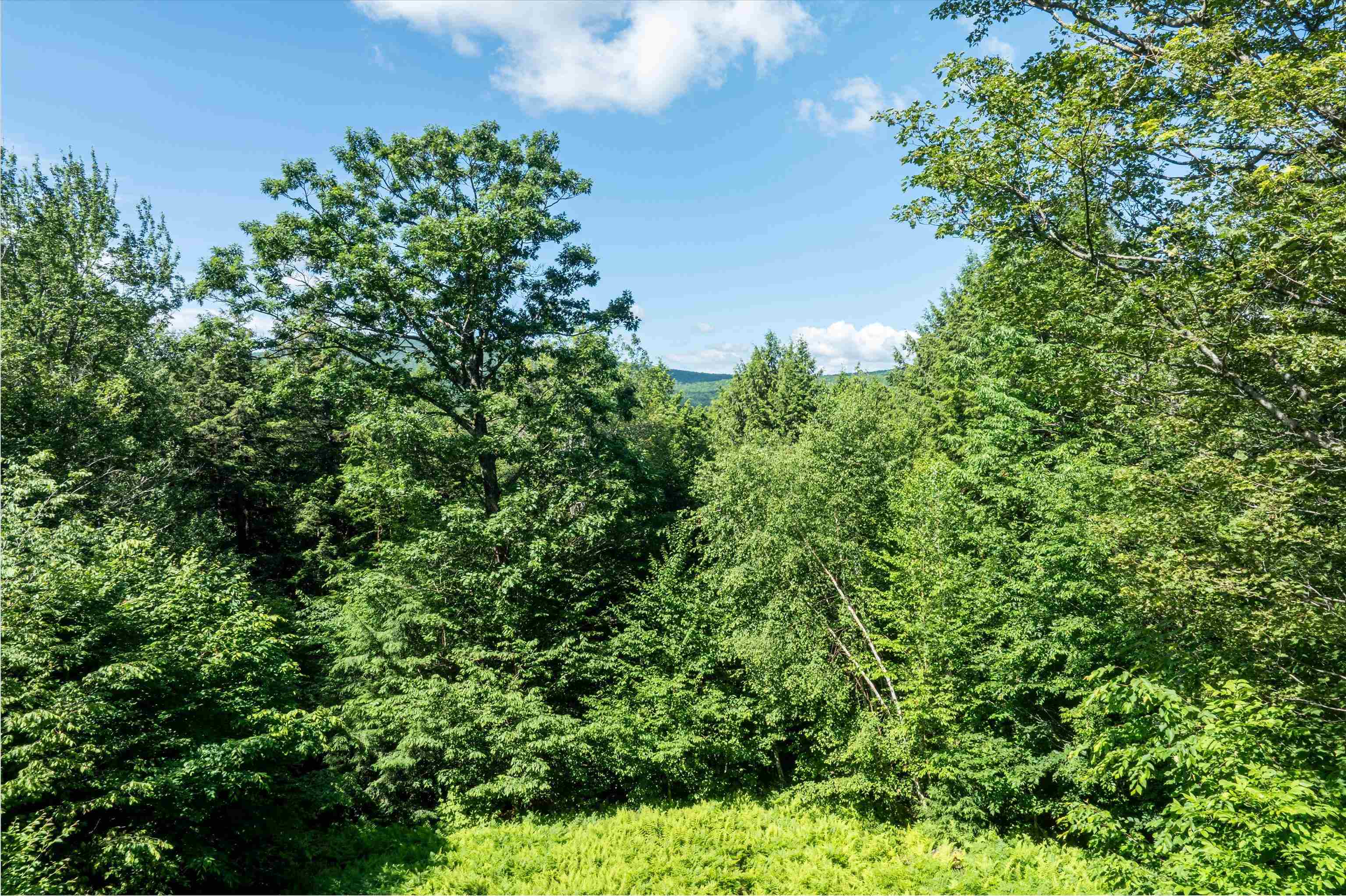 00 Turtle Hill Road