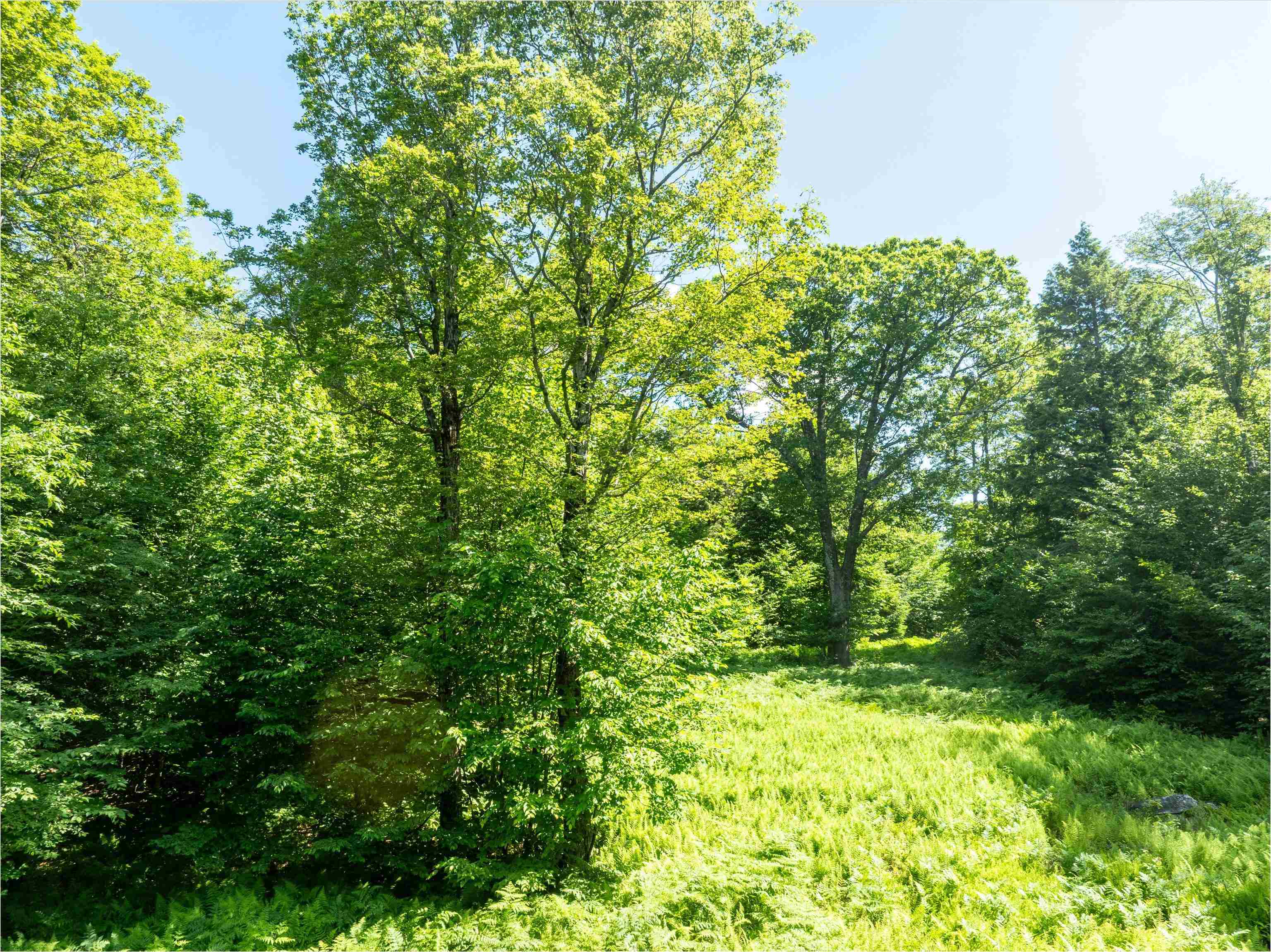 00 Turtle Hill Road