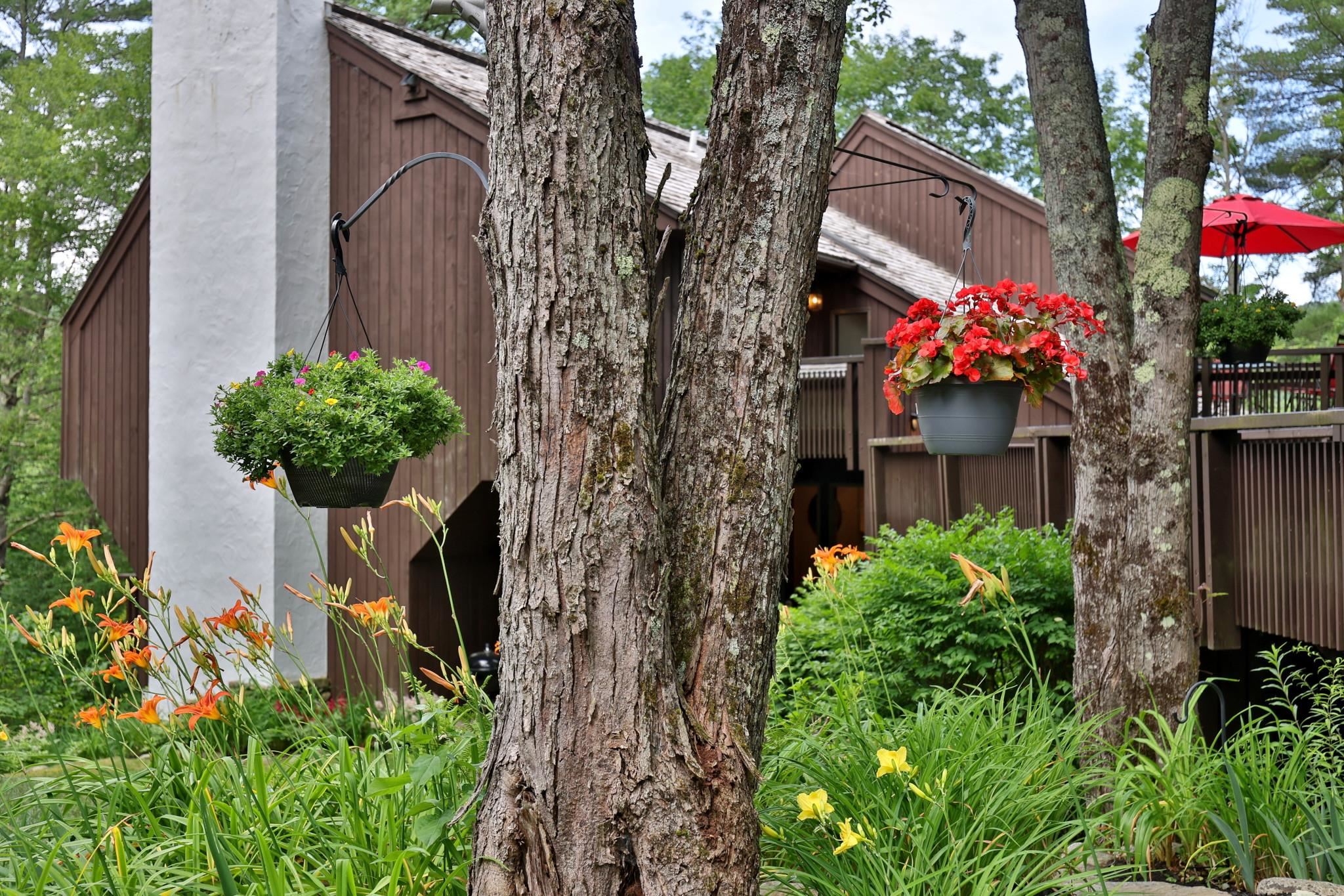 181 Meadow Hawk Road