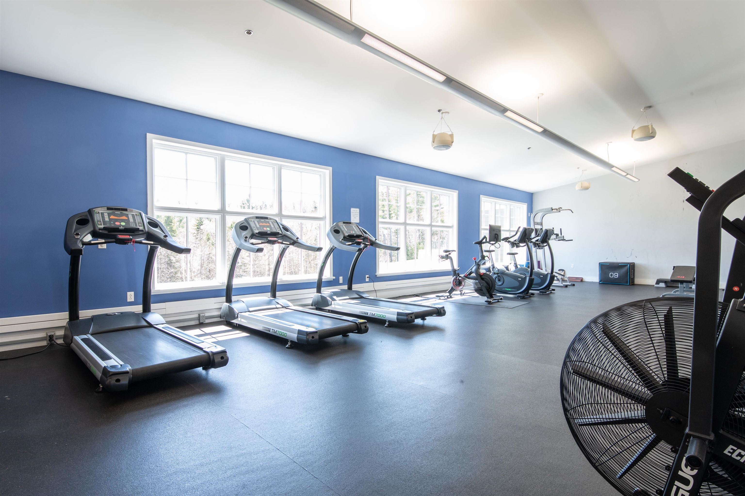 709/711 Qtr. I, Adams House