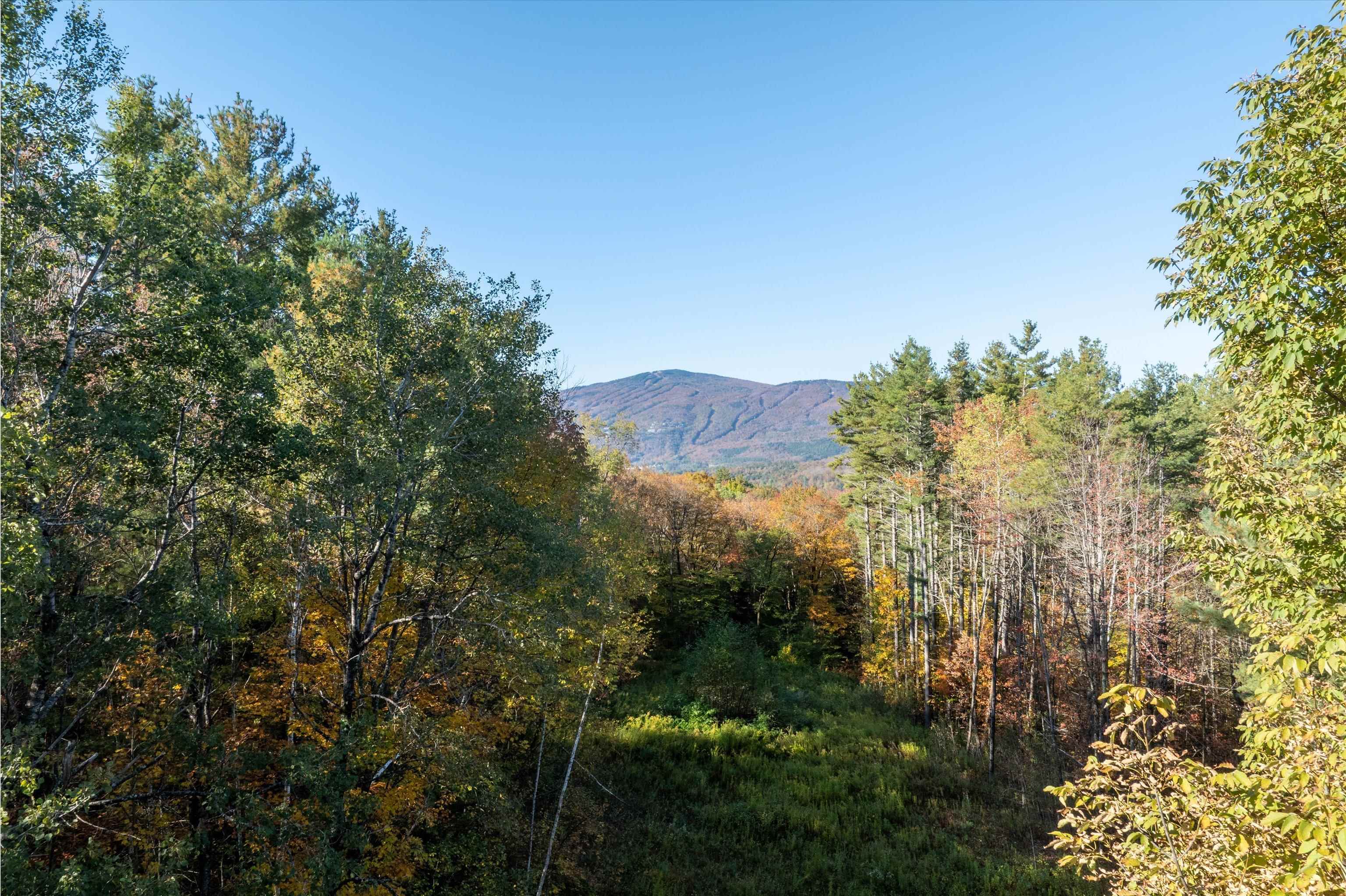 167 Pettiner Hill Road