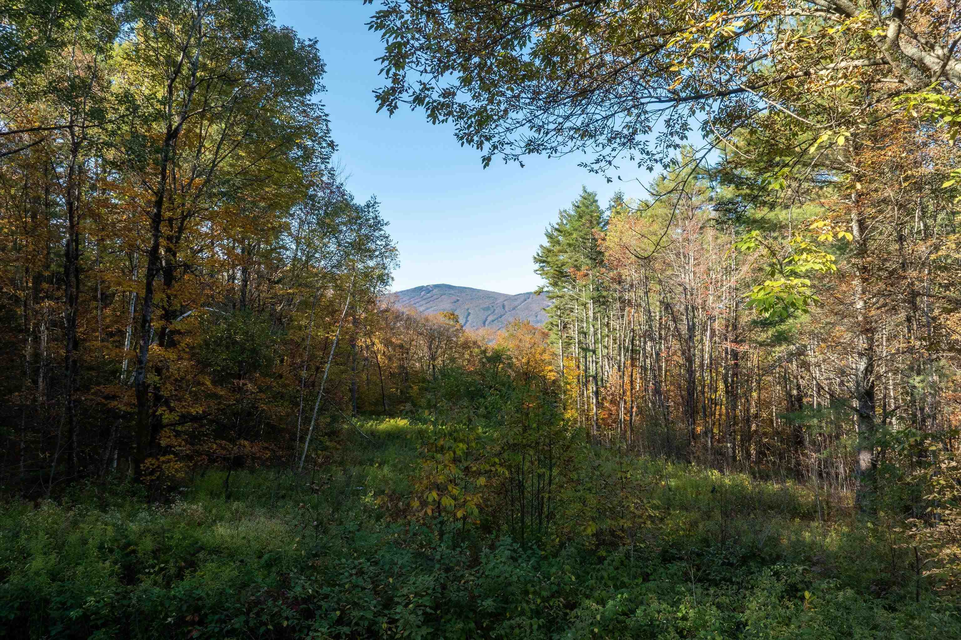 167 Pettiner Hill Road