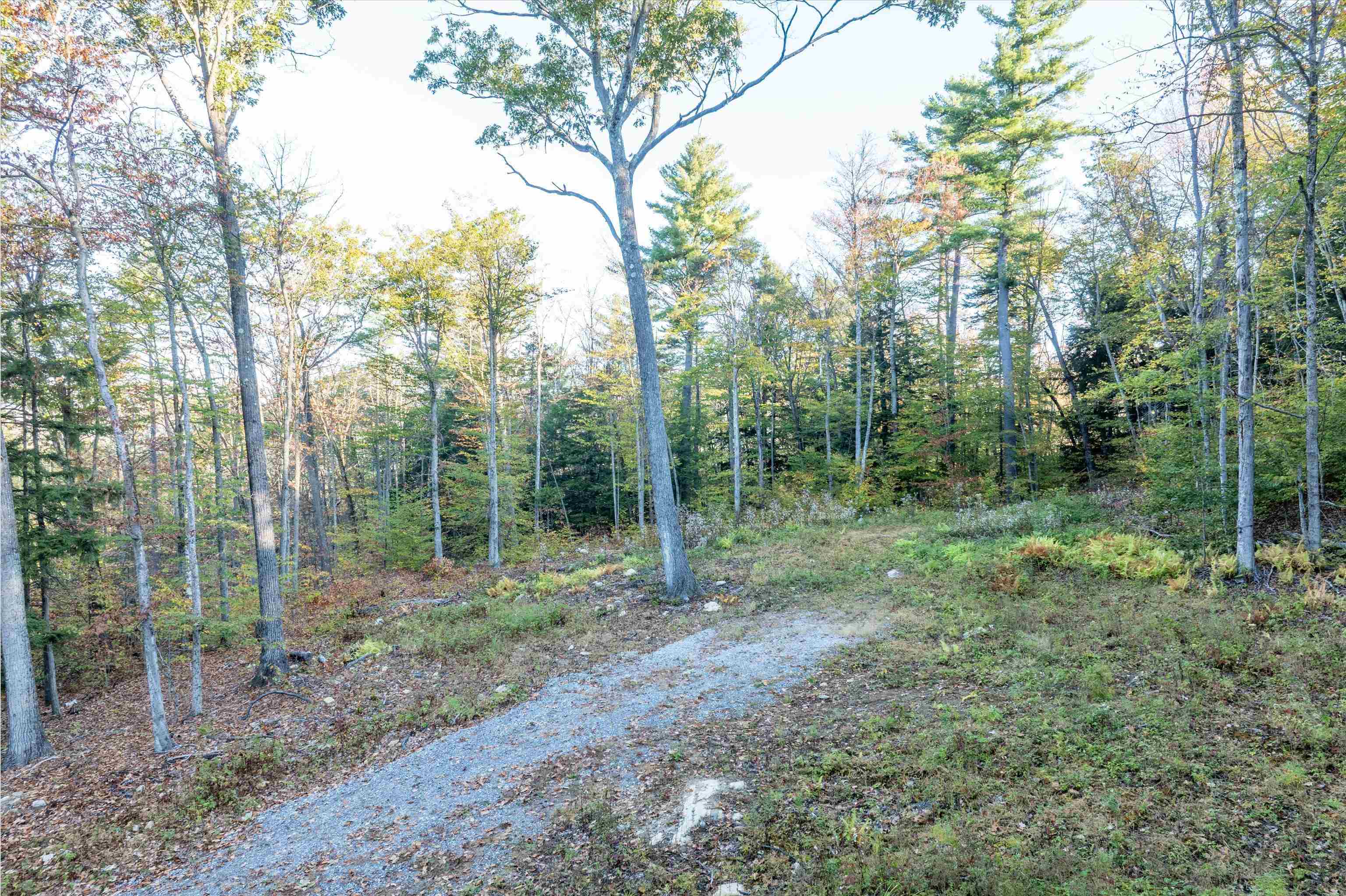 263 High Ridge Road