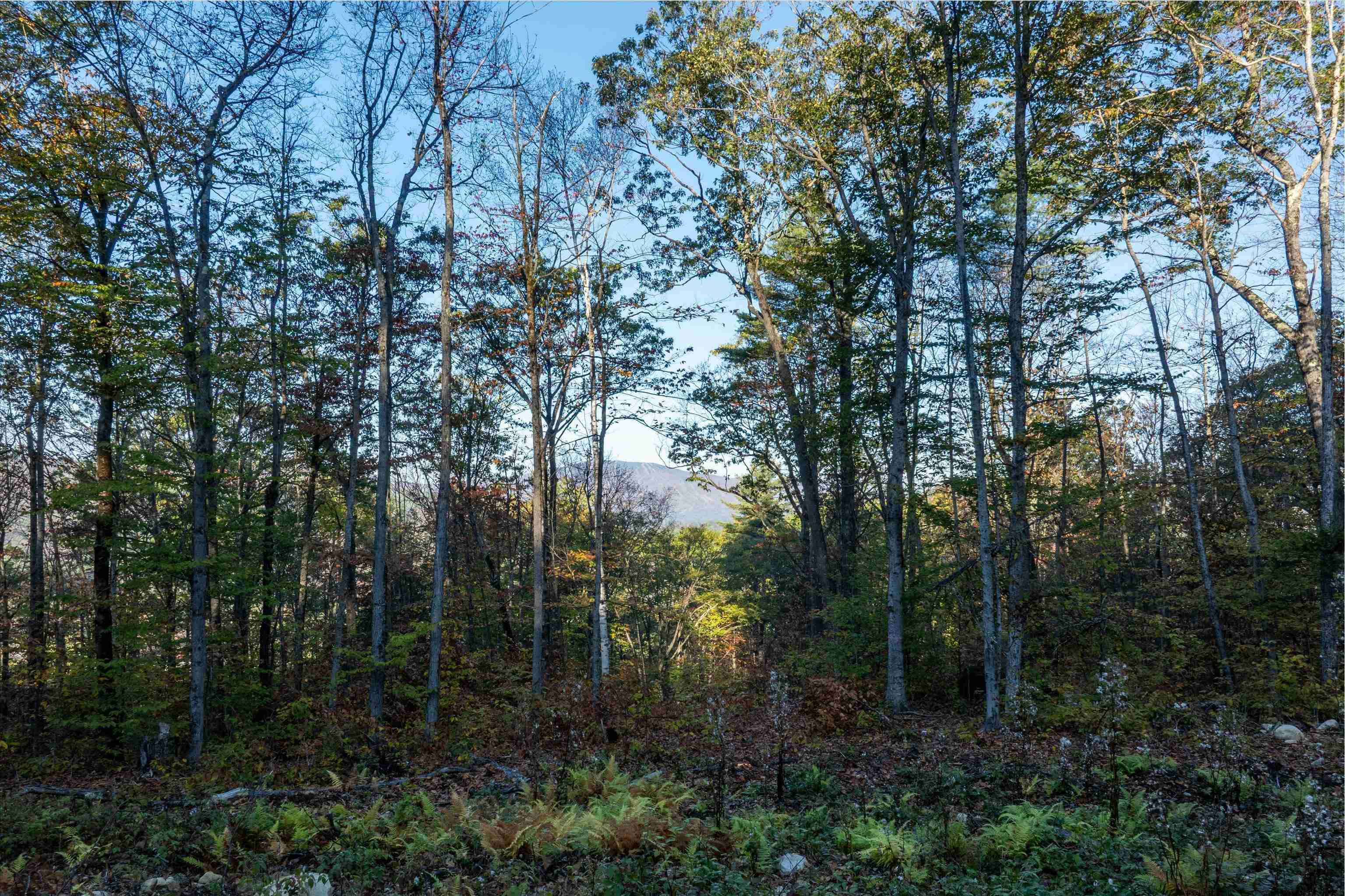 263 High Ridge Road