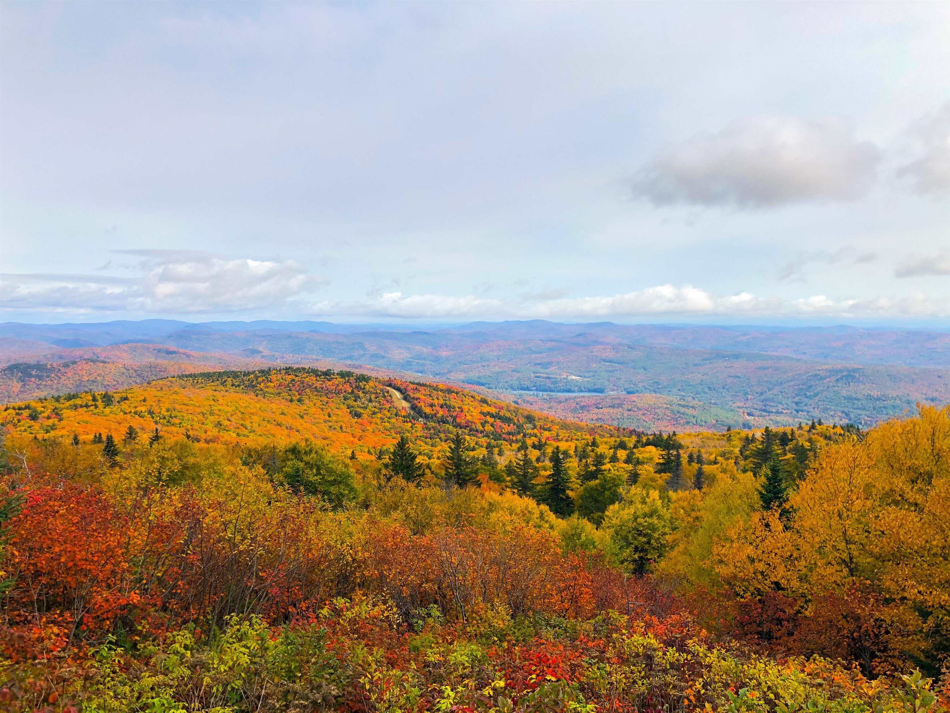 405 Soaring Hawk Road