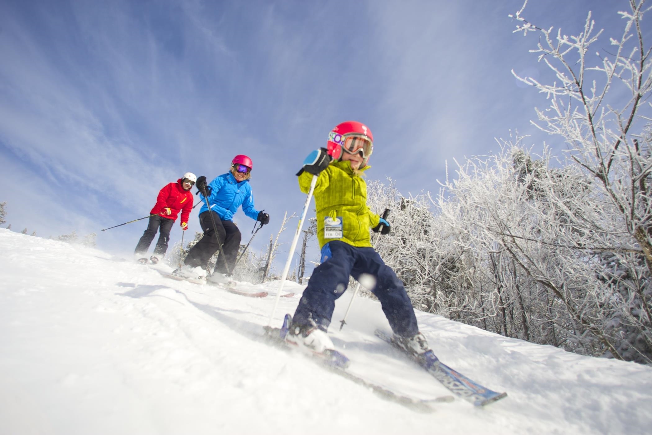 617/619 Qtr. I Adams House