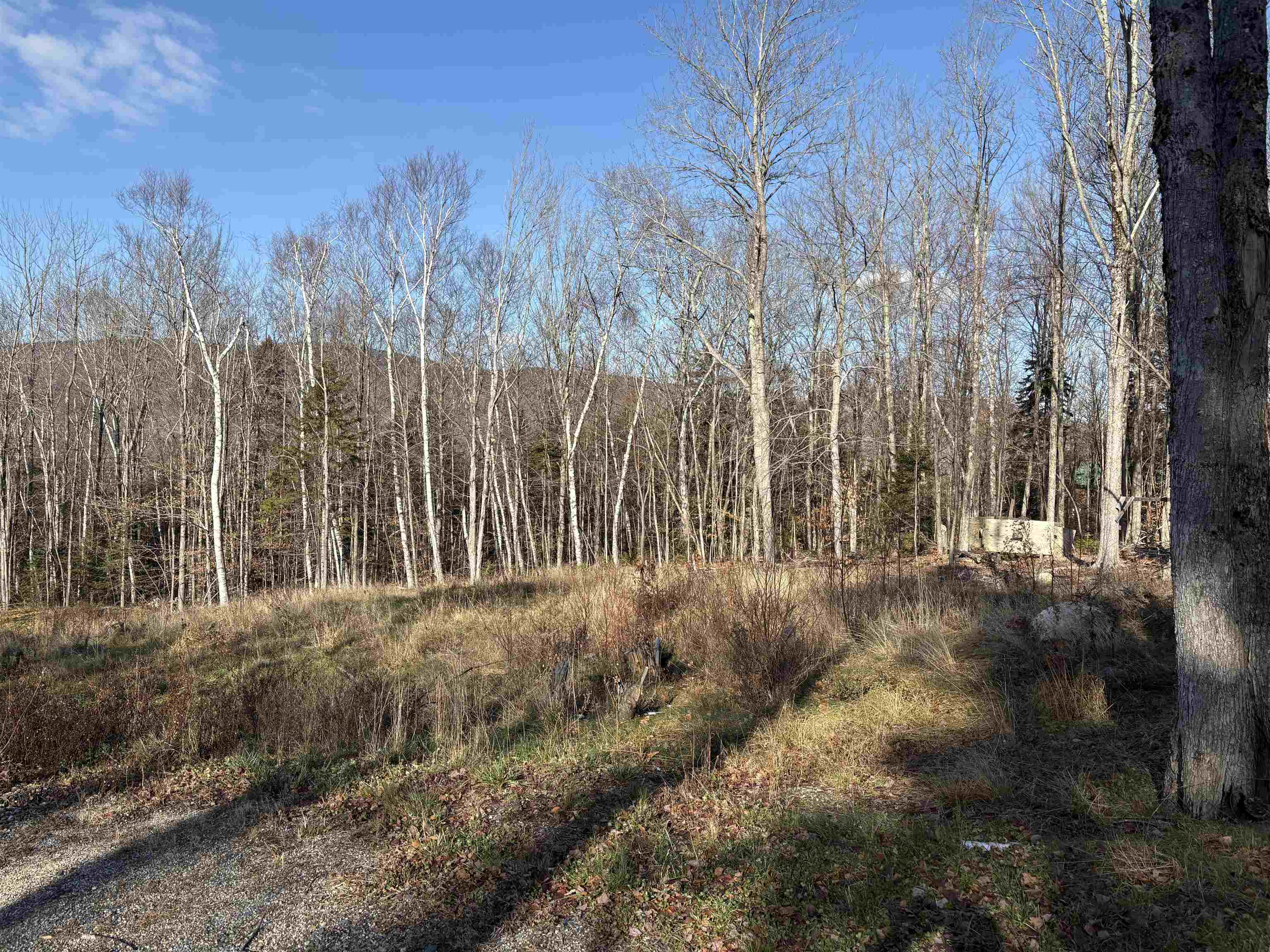 103 Bear Hill Road West