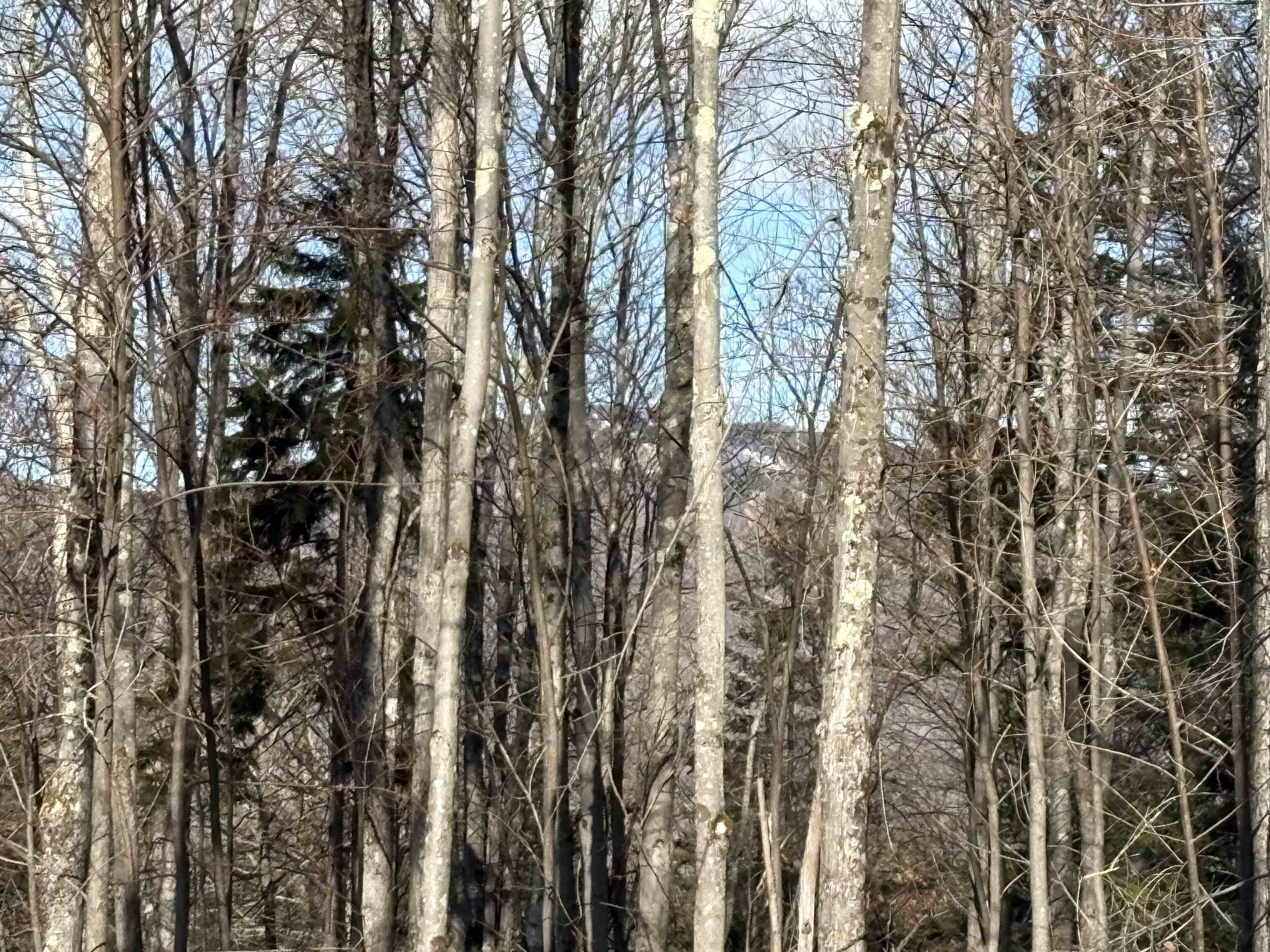 103 Bear Hill Road West