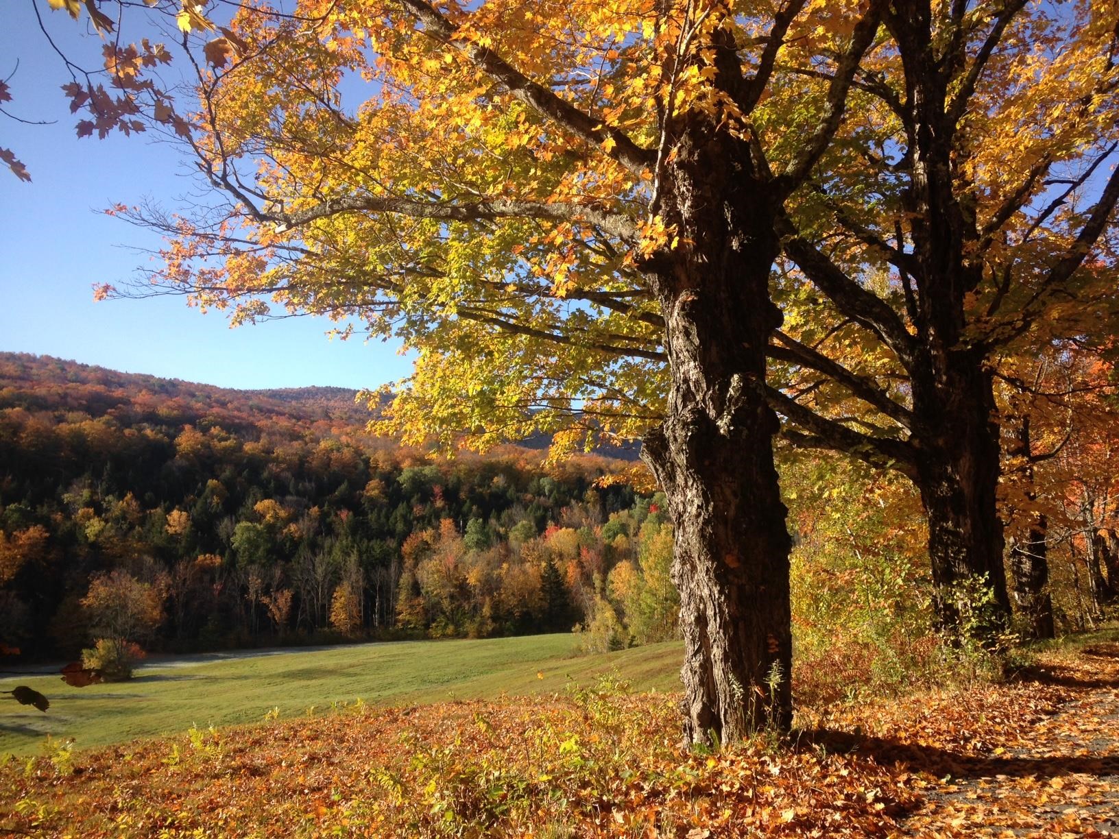 122 Chamonix Road Unit: 21 C