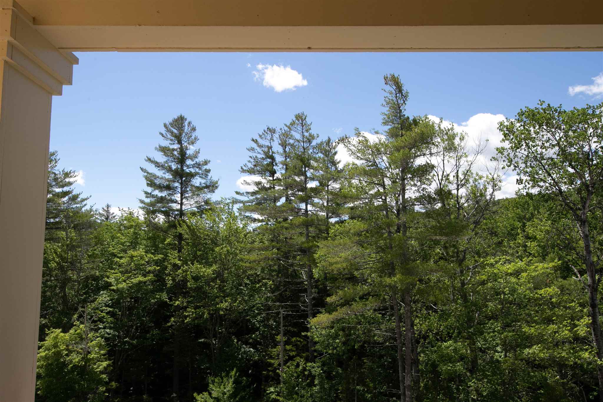 318/320 Qtr. I Jackson Gore Inn