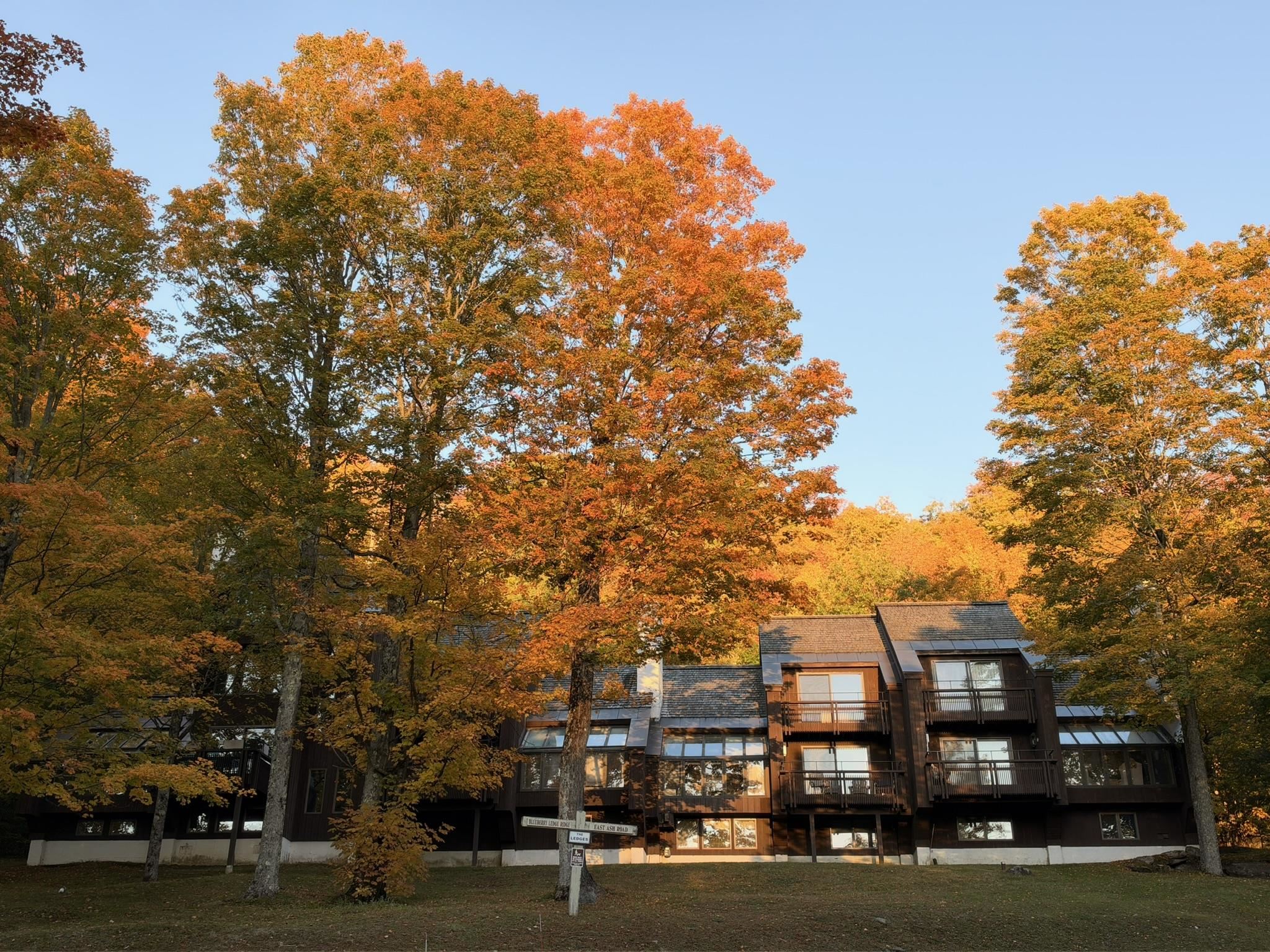 879 East Ash Road Unit: 5
