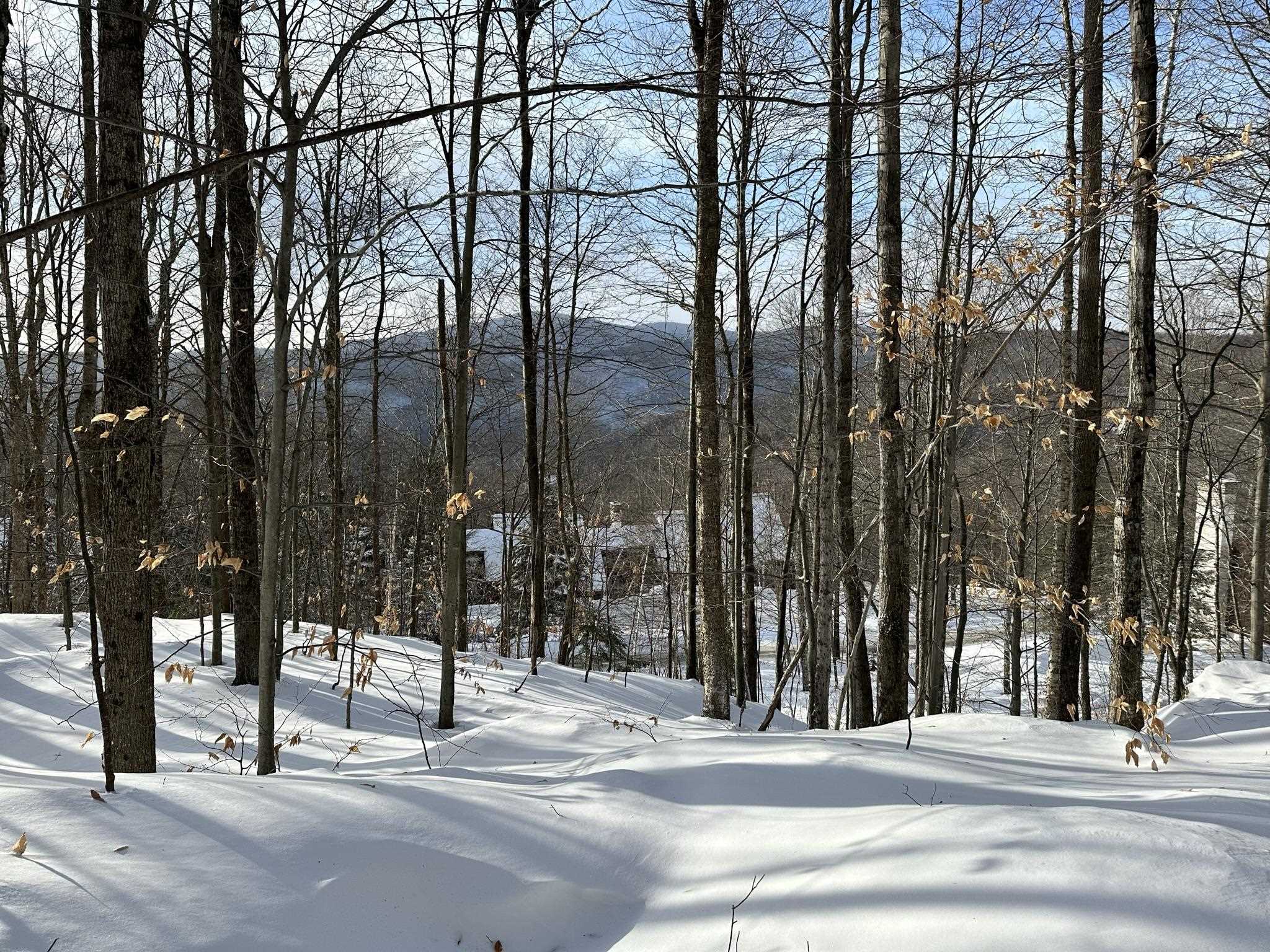879 East Ash Road Unit: 5