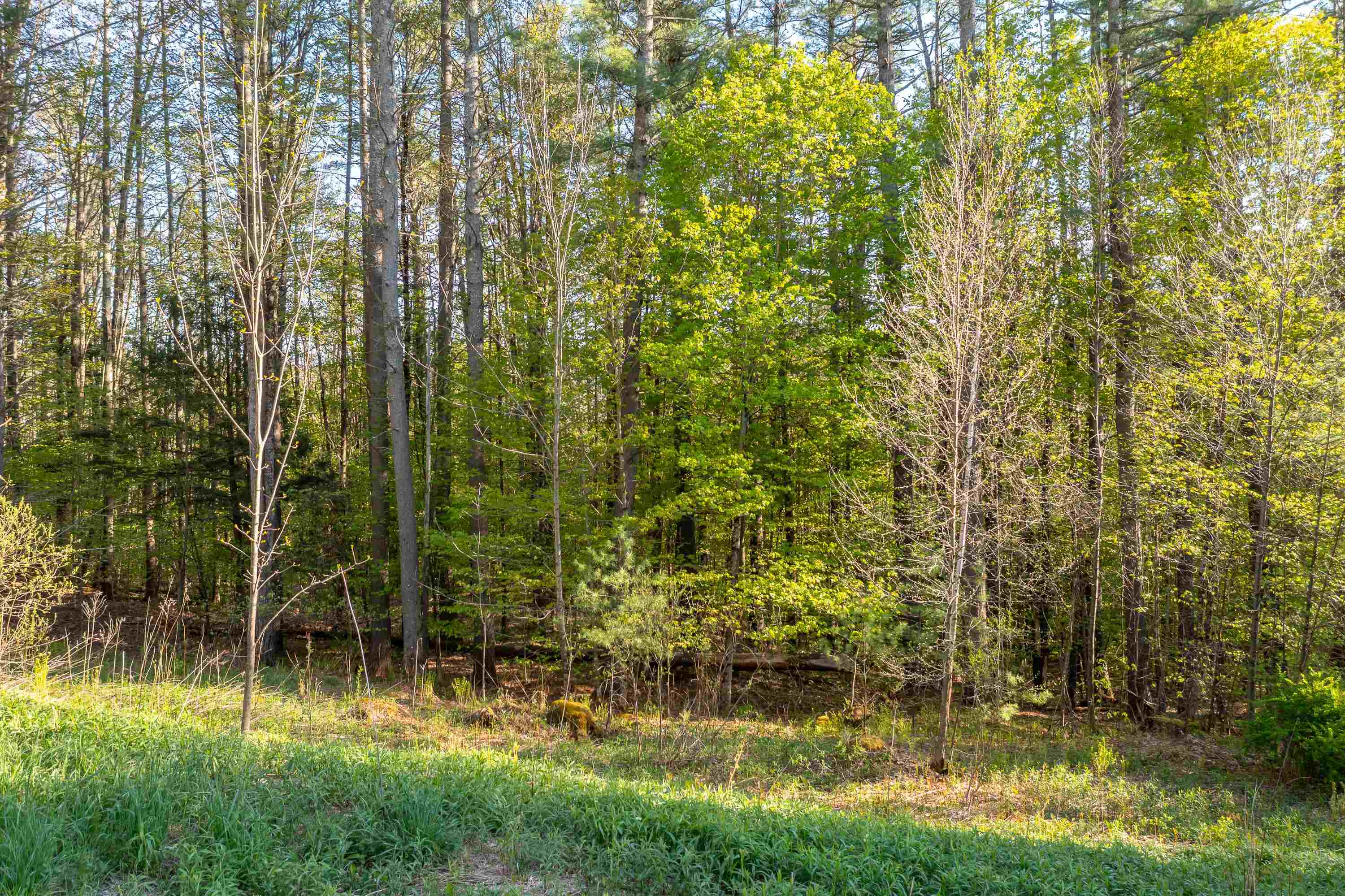 Lot 30 Cedar Drive