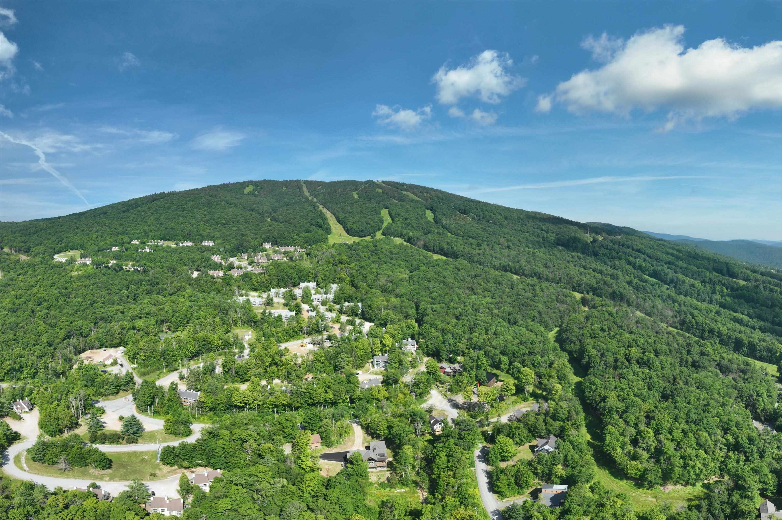 38 Rimrock Road Unit: 3A