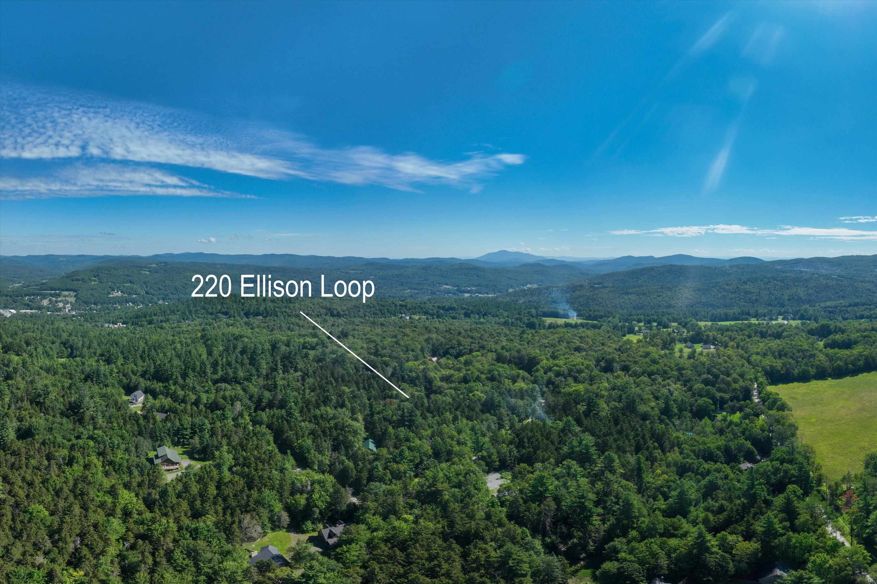 220 Ellison Loop Road