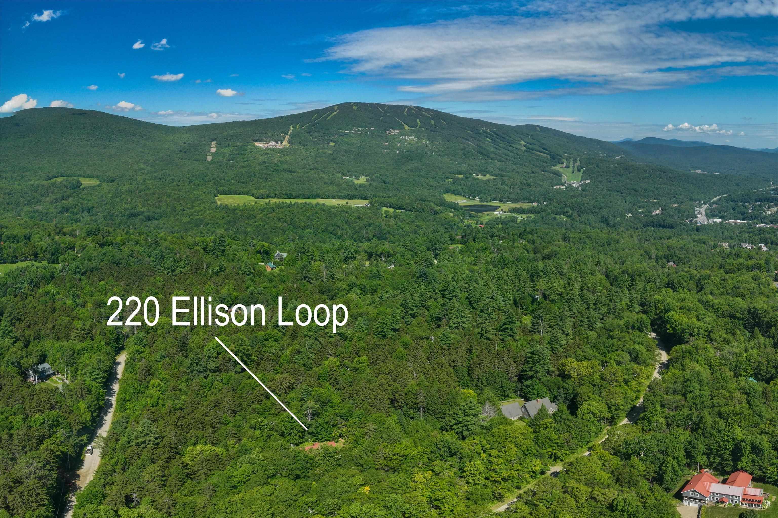 220 Ellison Loop Road