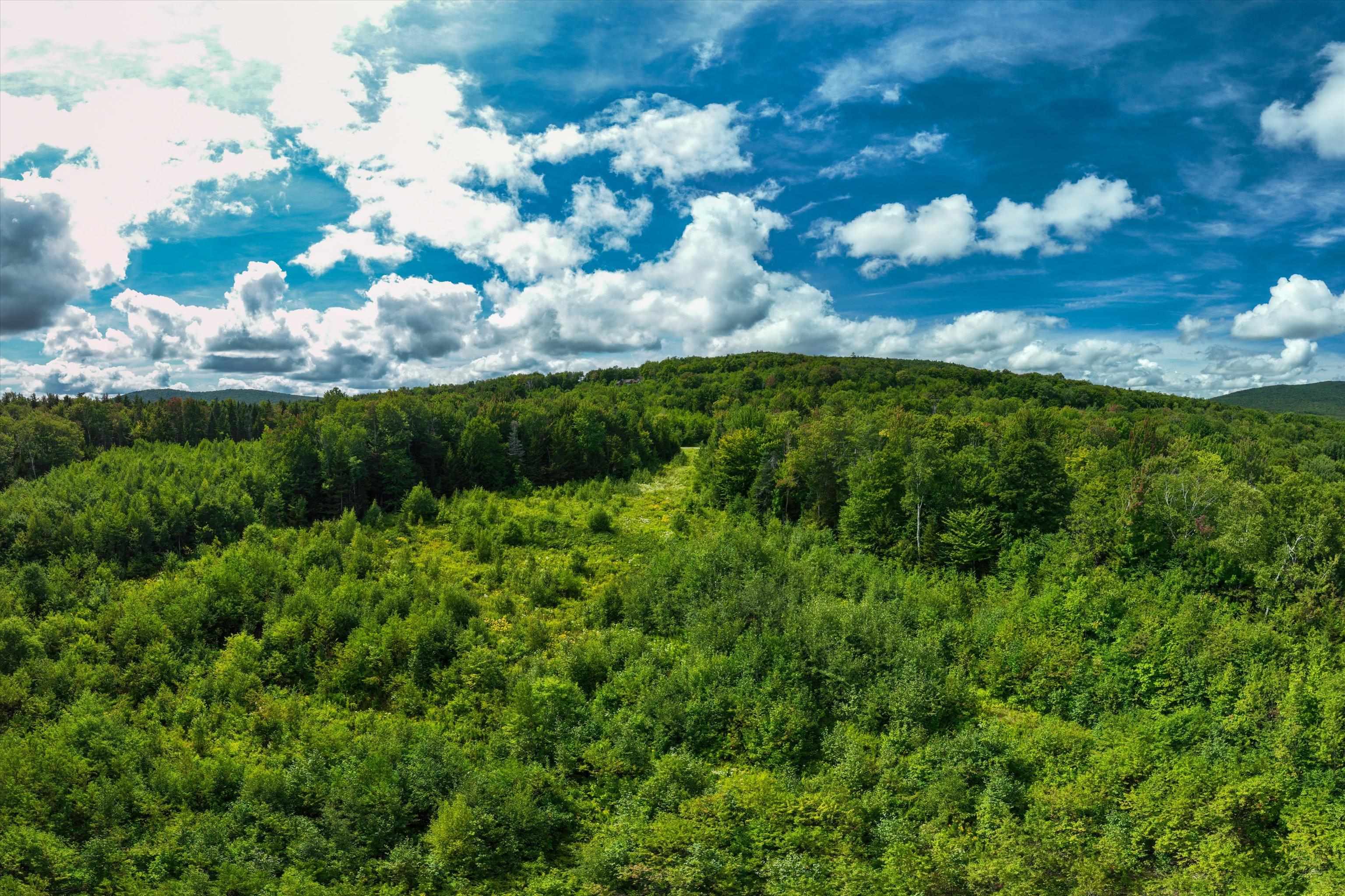 000 Hemlock Hill Road Unit: 2