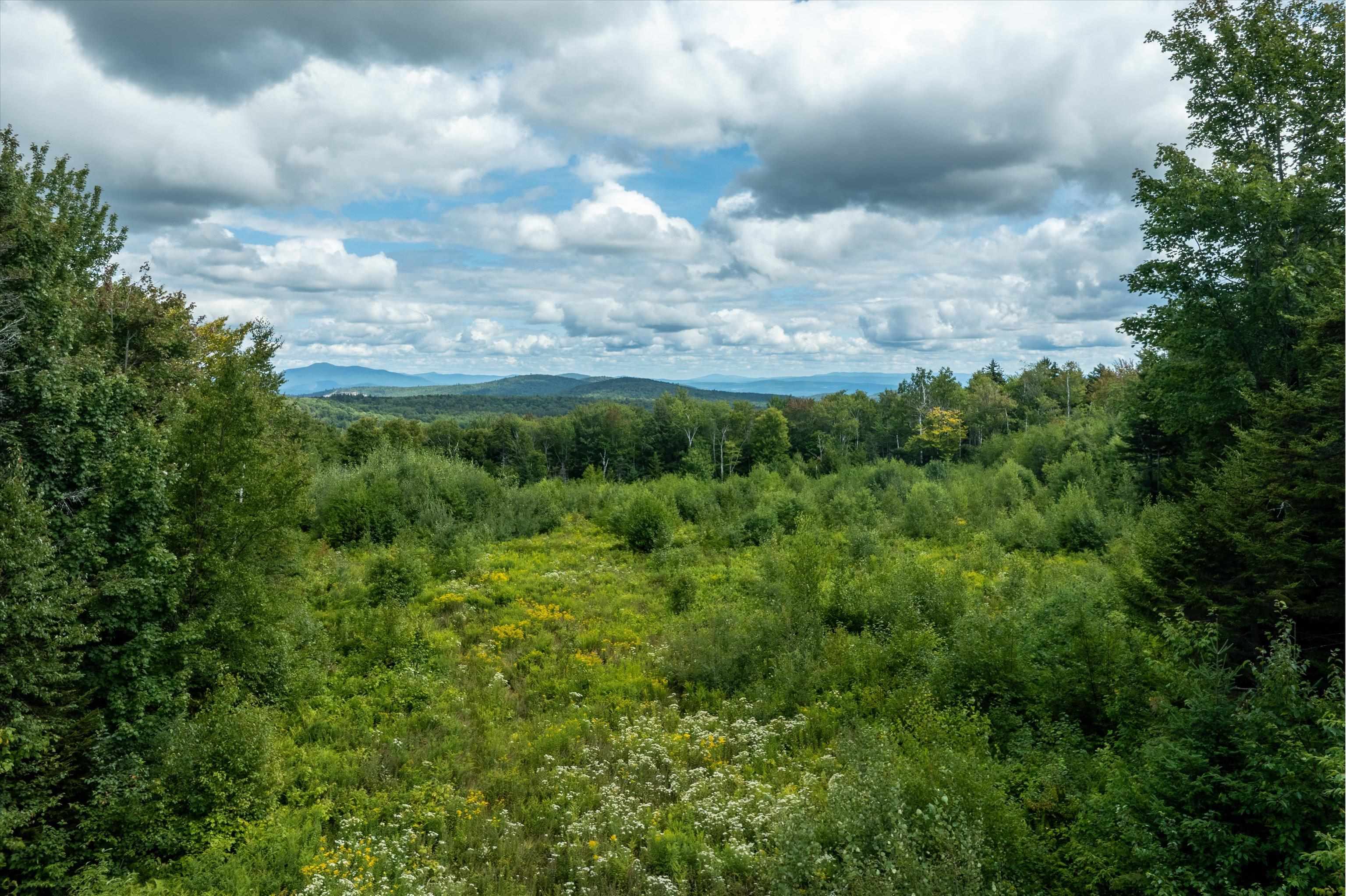 000 Hemlock Hill Road Unit: 2
