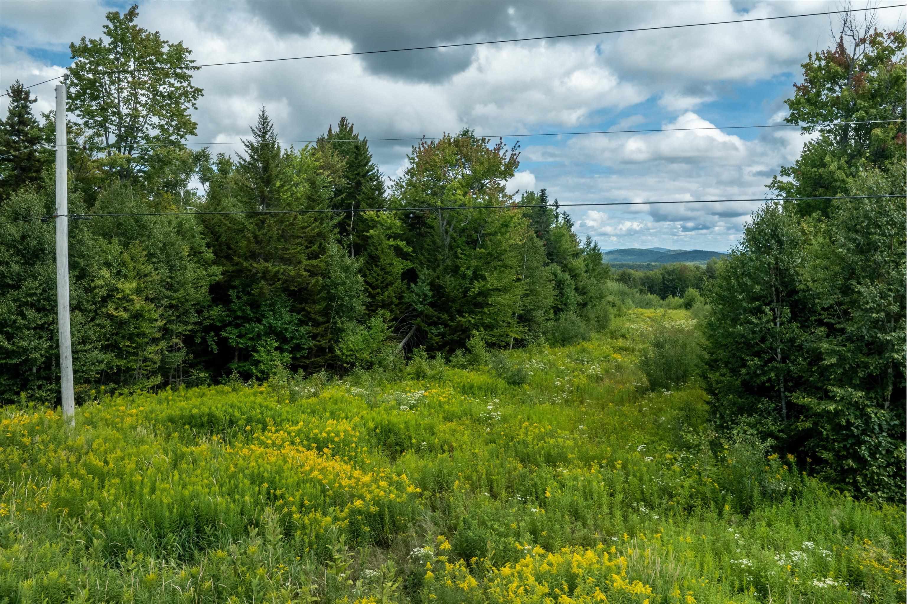 000 Hemlock Hill Road Unit: 2