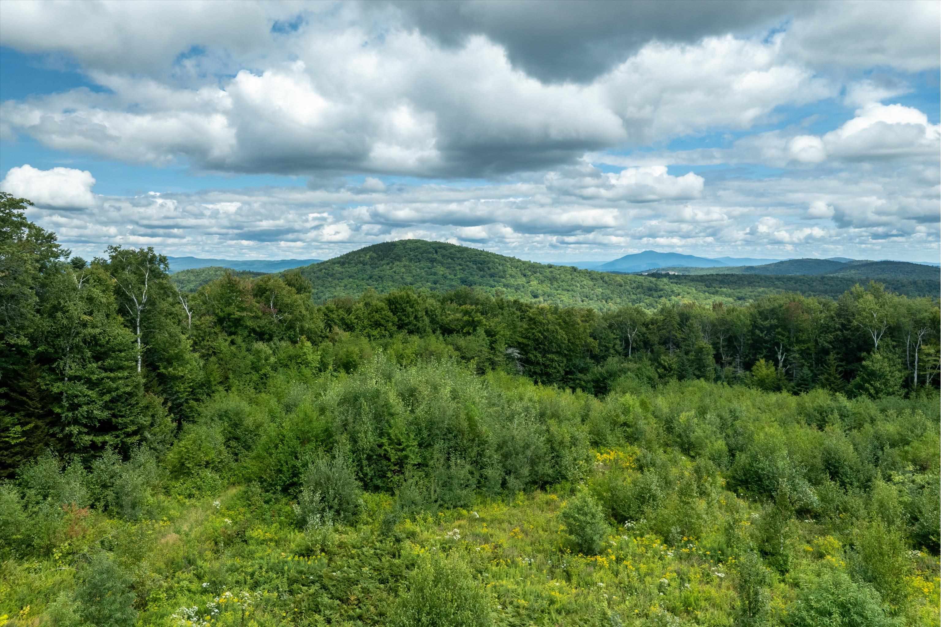 000 Hemlock Hill Road Unit: 2