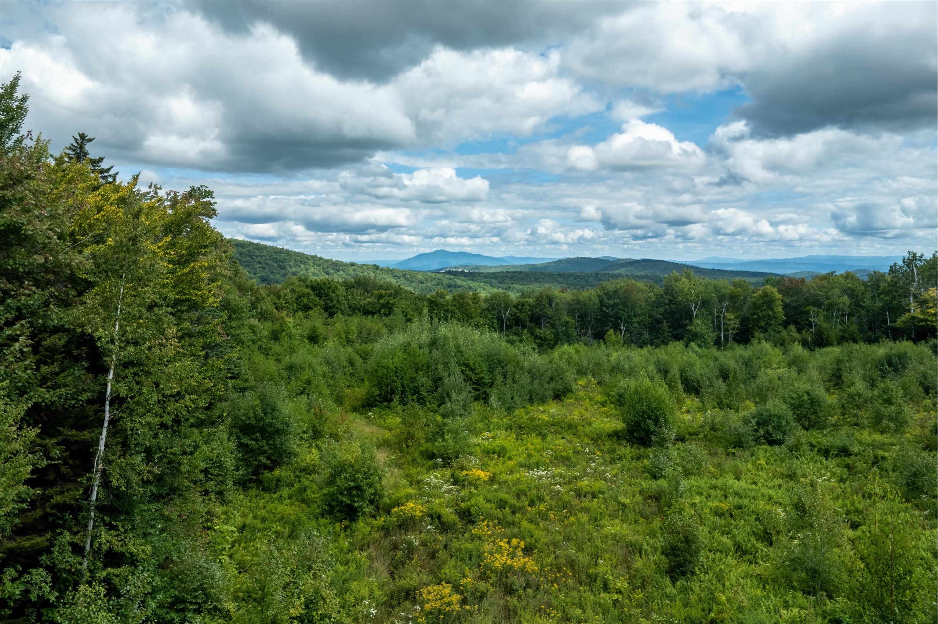 000 Hemlock Hill Road Unit: 2