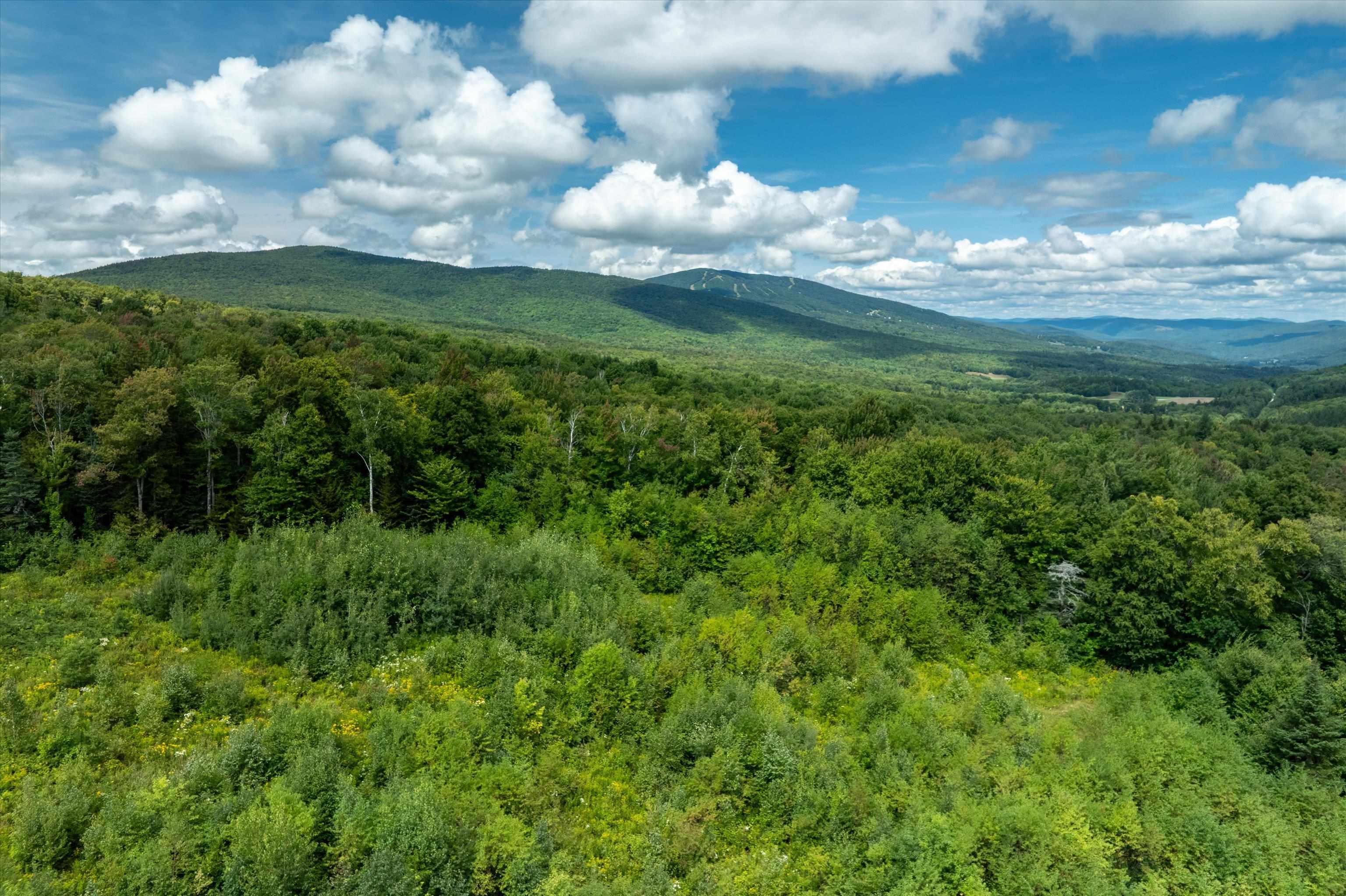 000 Hemlock Hill Road Unit: 2