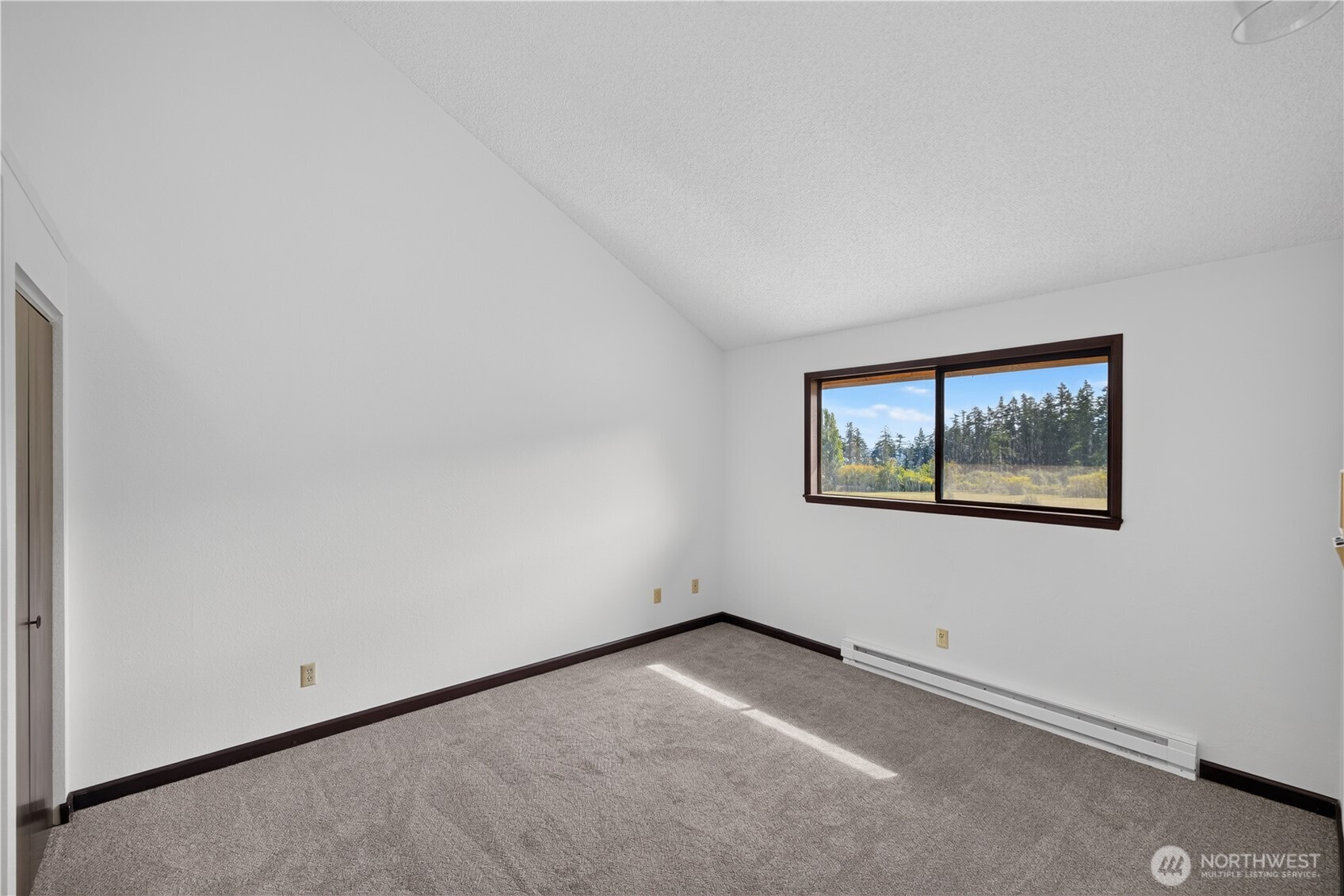 Empty carpeted bedroom with a wide window overlooking trees and a baseboard heater.
