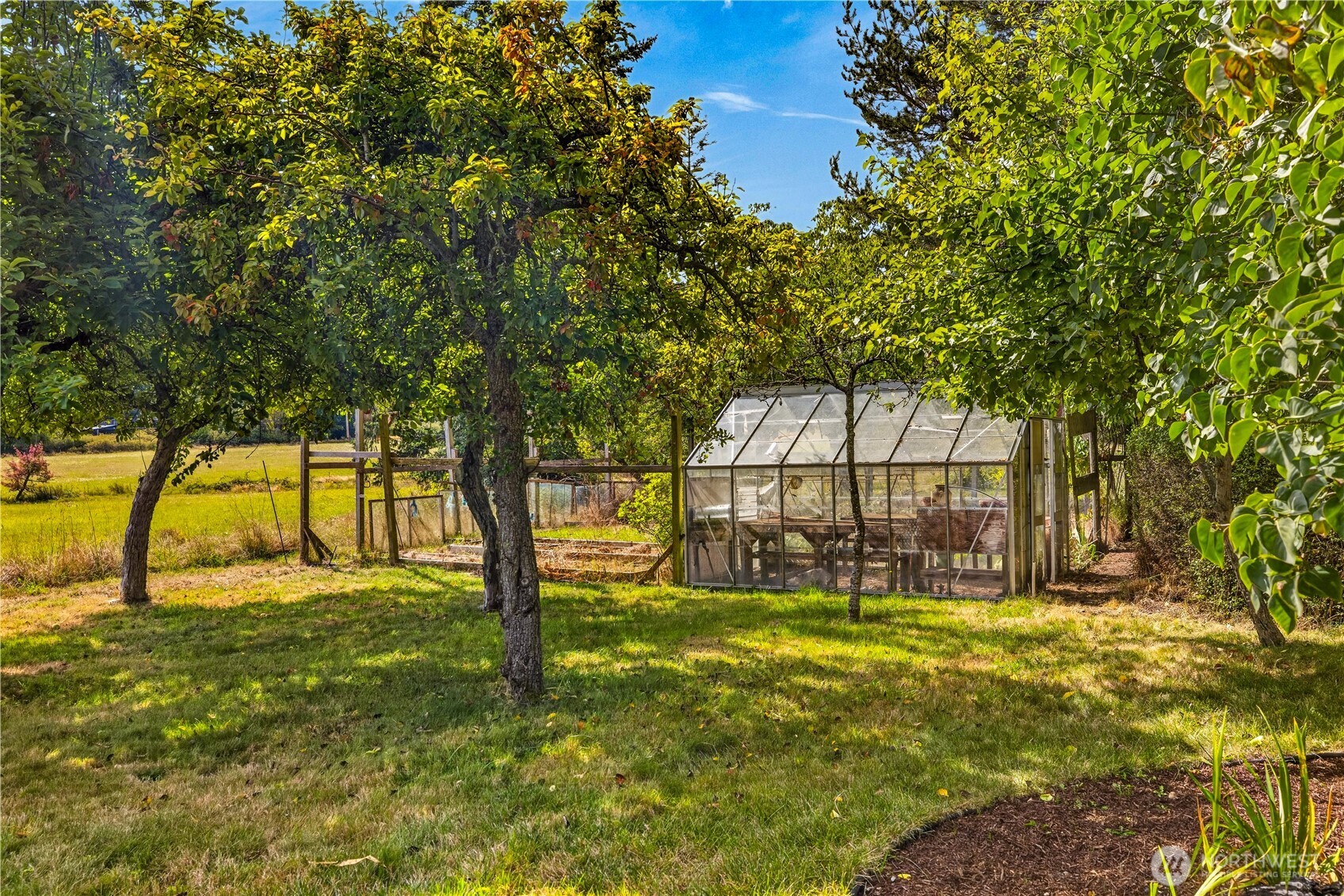 Backyard greenhouse among mature trees, with a grassy lawn and garden beds.