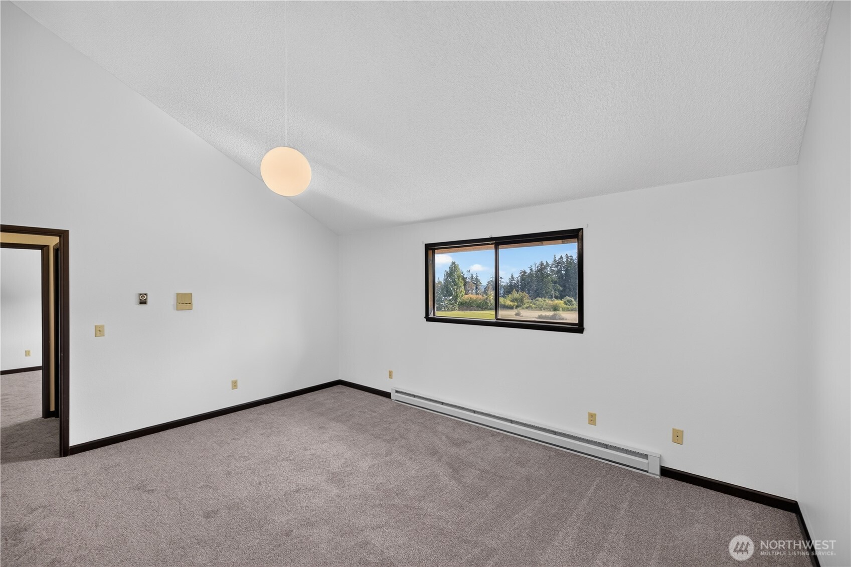 Empty carpeted room with dark trim, a window overlooking trees, and a baseboard heater.