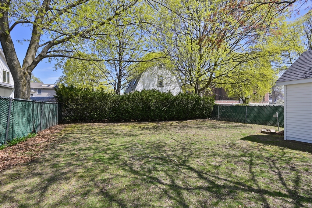 66 Cedar St