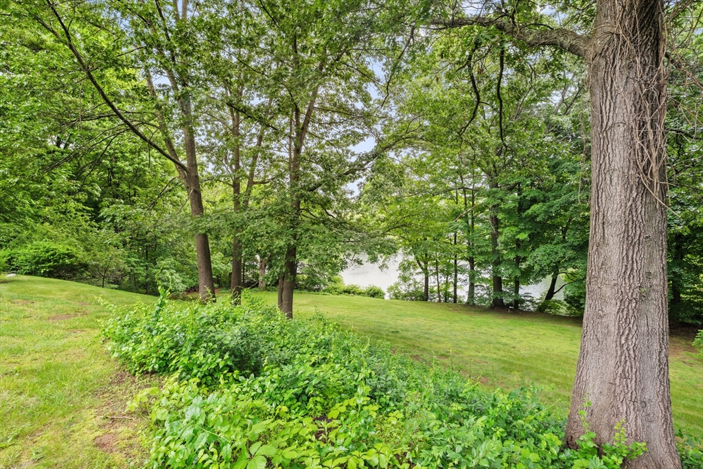 9 Maplewood Ter